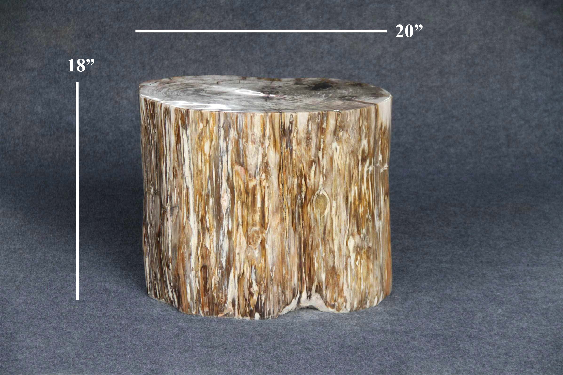 Kalifano Petrified Wood Petrified Wood Round Stump 20" / 416 lbs PWS7600.002