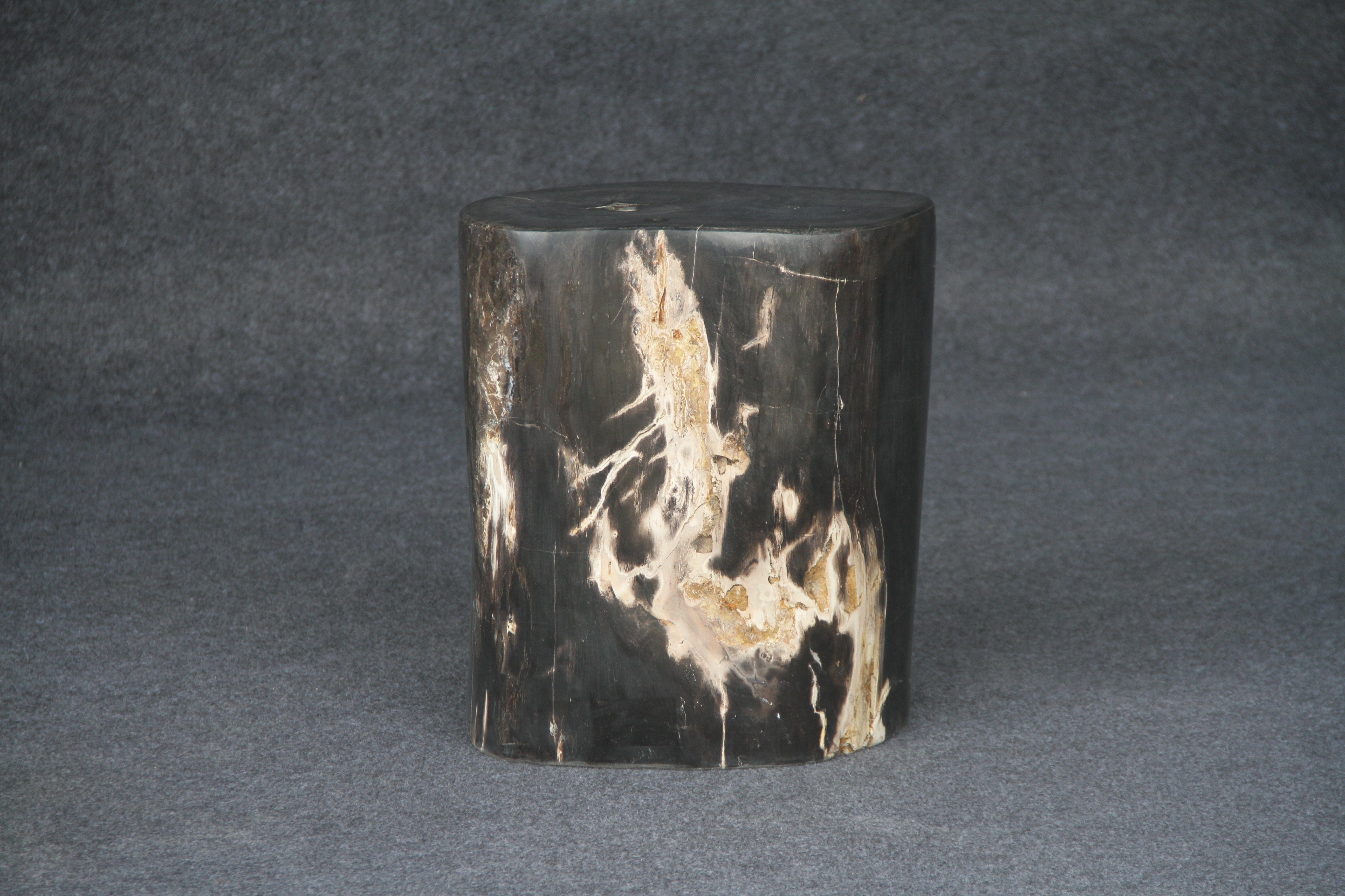 Kalifano Petrified Wood Petrified Wood Round Stump / Stool 16" / 112lbs PWS2000.003