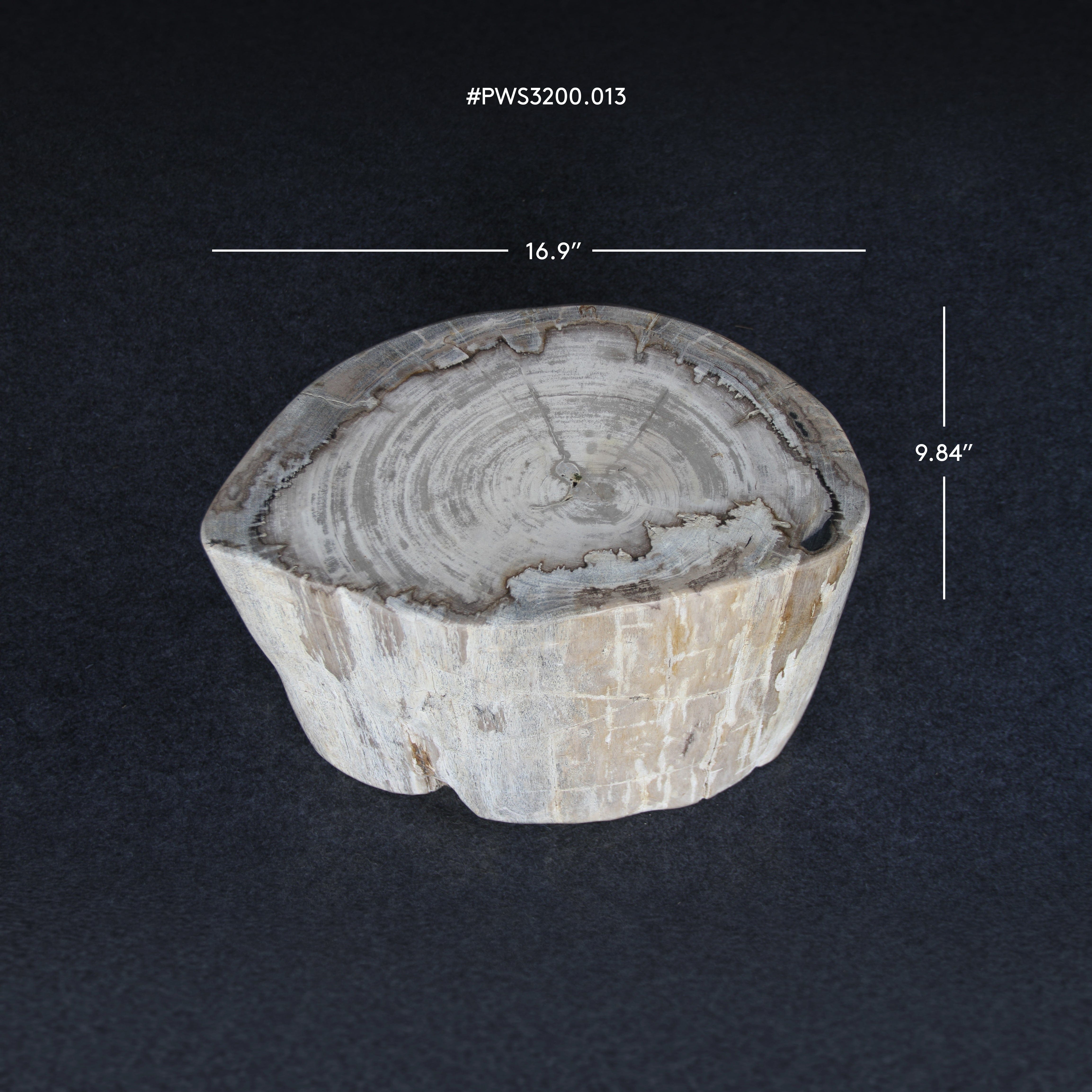 Kalifano Petrified Wood Petrified Wood Round Stump / Stool 16" / 170lbs PWS3200.013