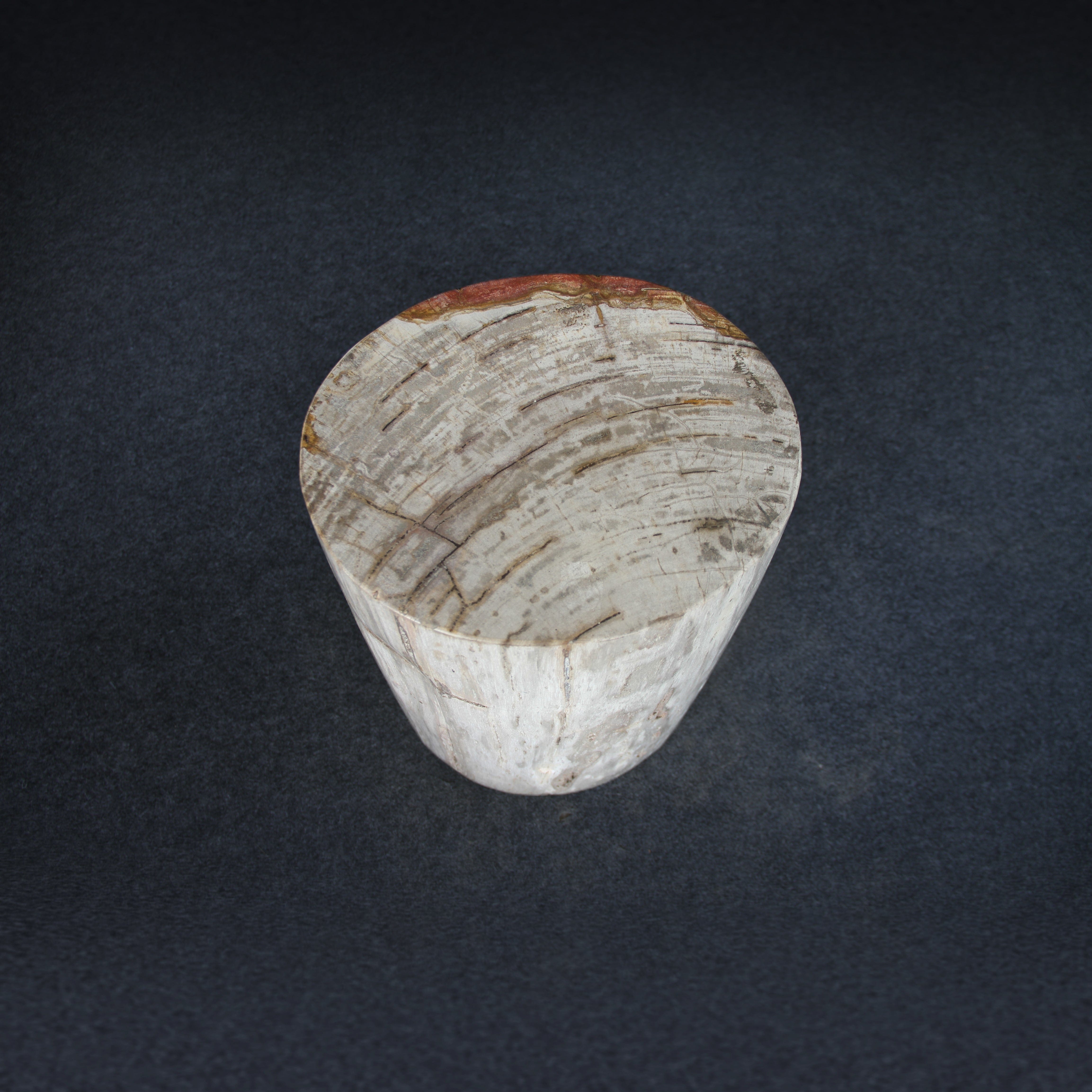 Kalifano Petrified Wood Petrified Wood Round Stump / Stool 16" / 192lbs PWS3600.009