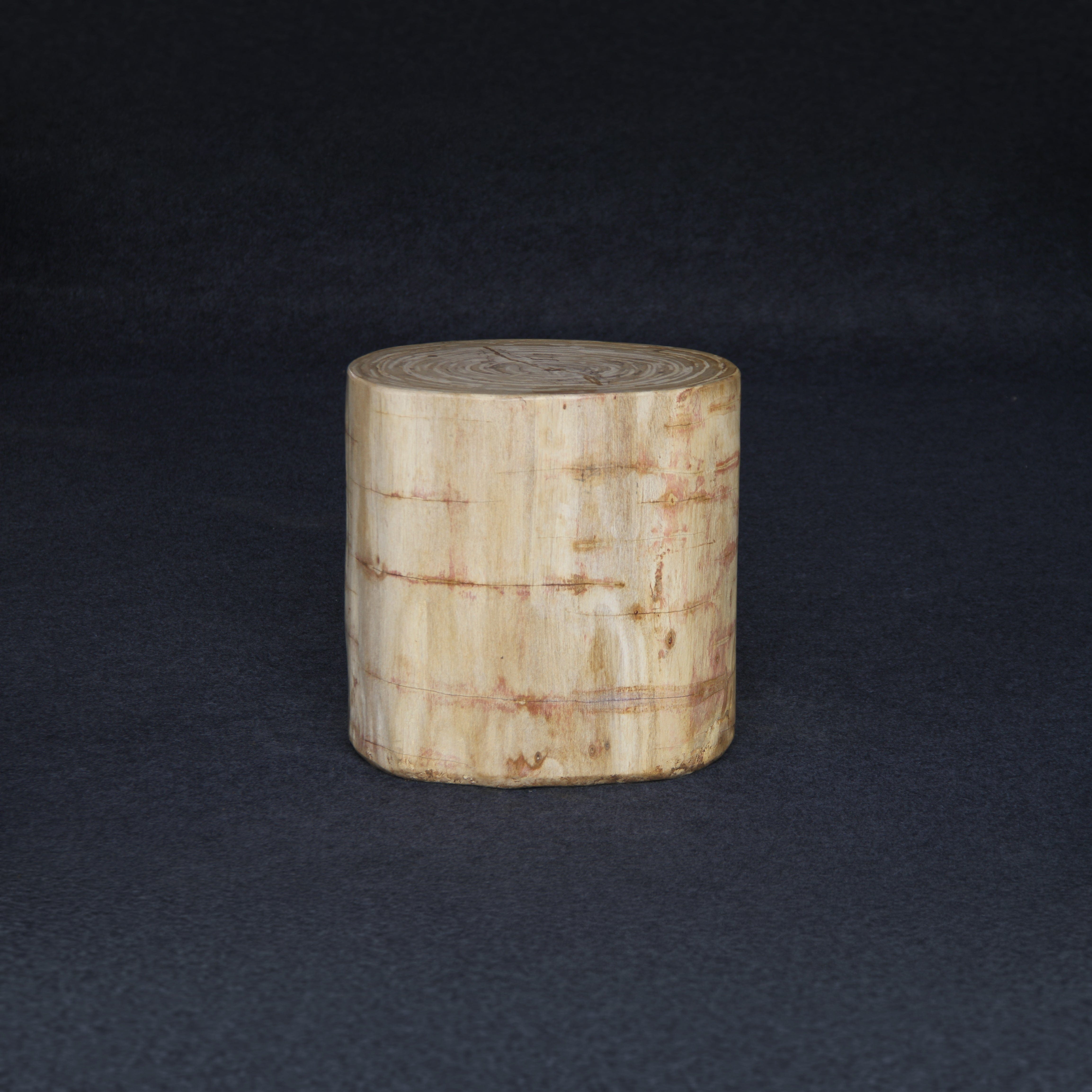 Kalifano Petrified Wood Petrified Wood Round Stump / Stool 16" / 198lbs PWS3600.006