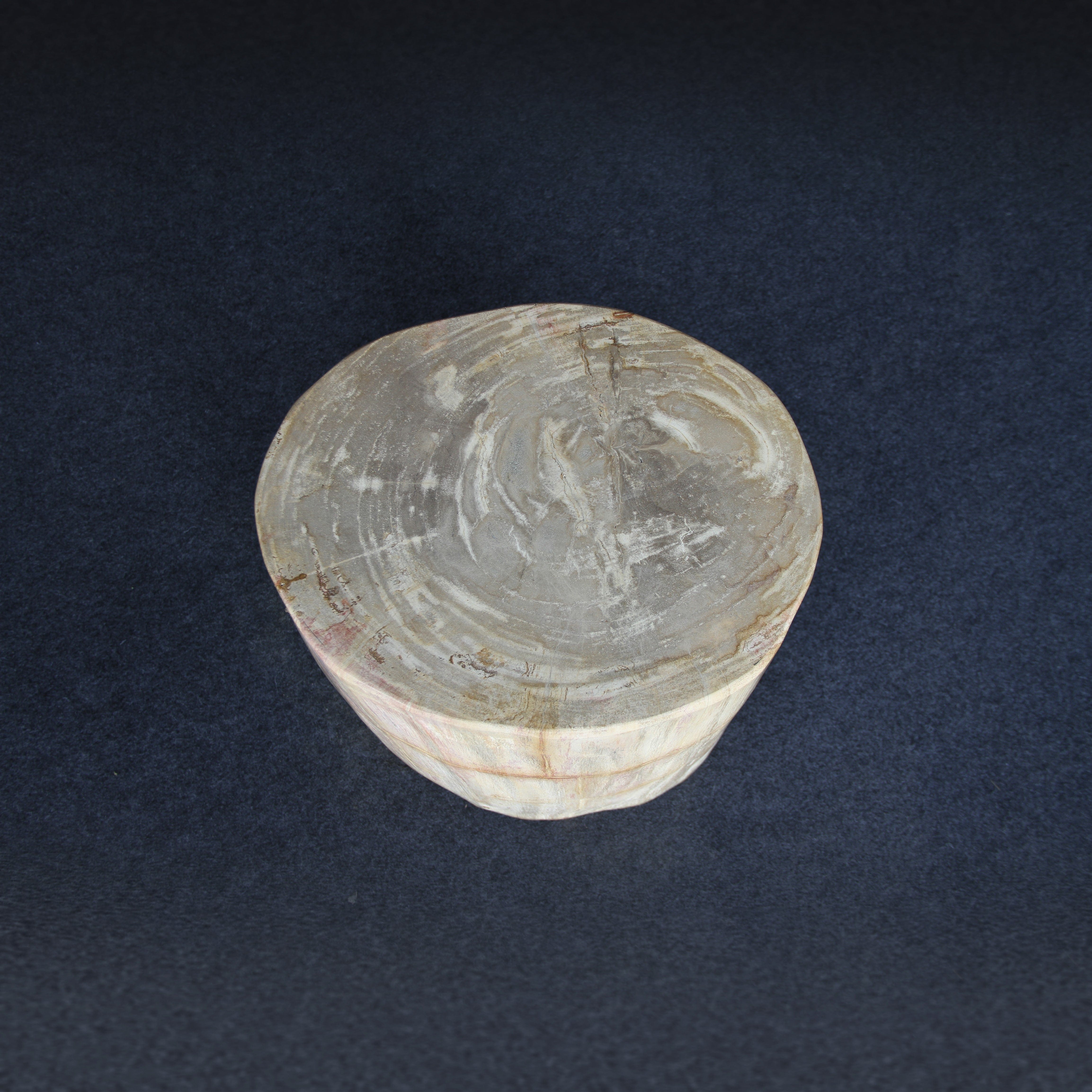 Kalifano Petrified Wood Petrified Wood Round Stump / Stool 16" / 227lbs PWS4200.006
