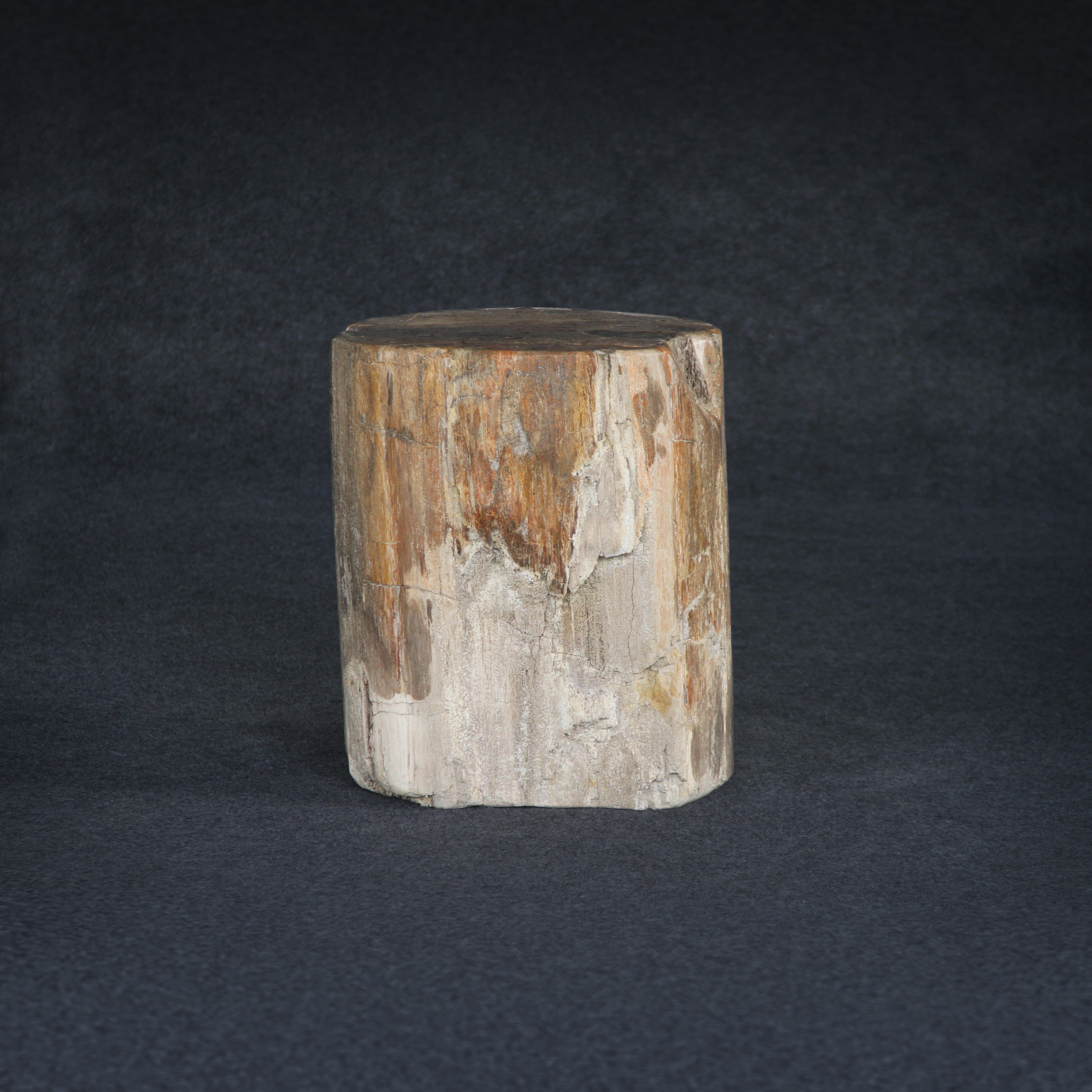 Kalifano Petrified Wood Petrified Wood Round Stump / Stool 17" / 221lbs PWS4000.006