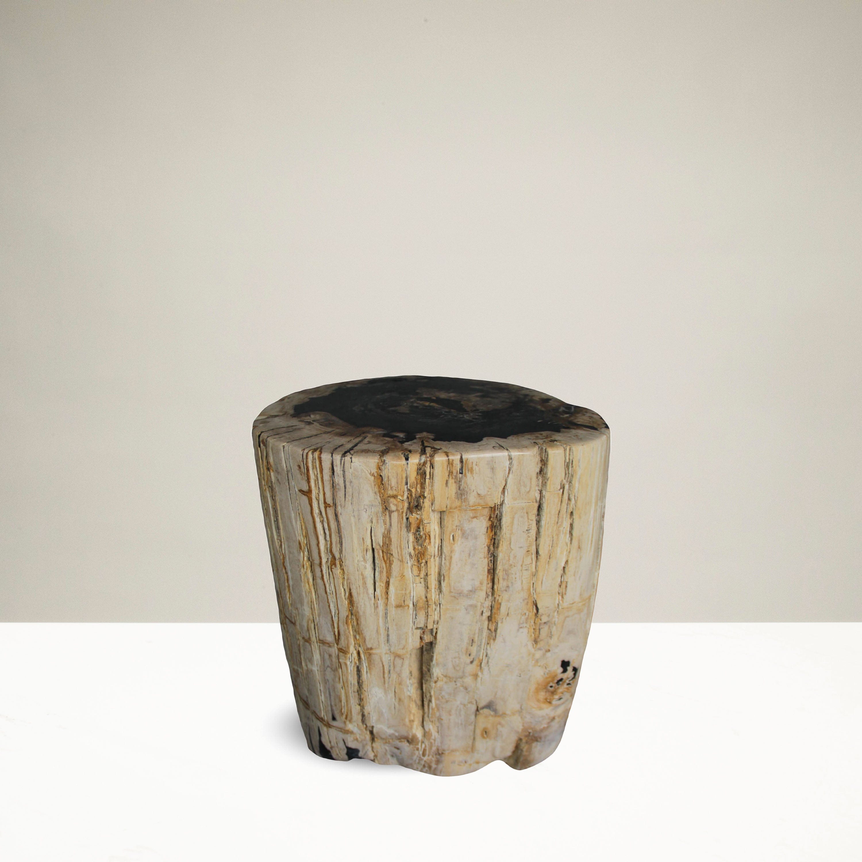 Kalifano Petrified Wood Petrified Wood Round Stump / Stool from Indonesia - 18" / 266 lbs PWS5000.003