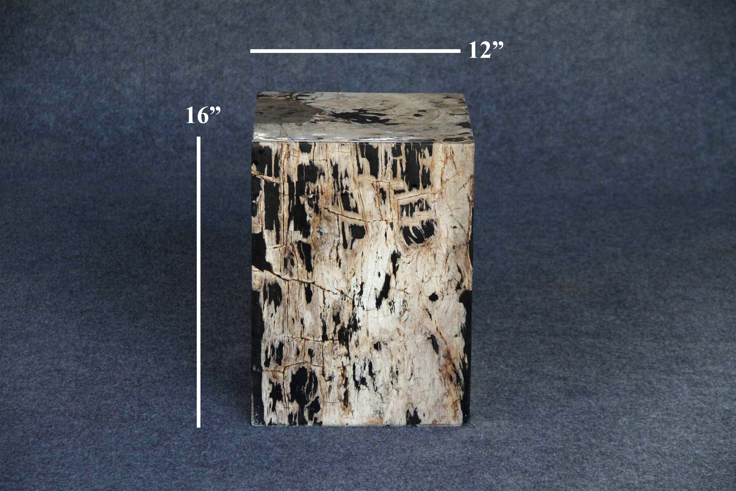 Kalifano Petrified Wood Petrified Wood Square Stump 12" / 178 lbs PWSS5000.003