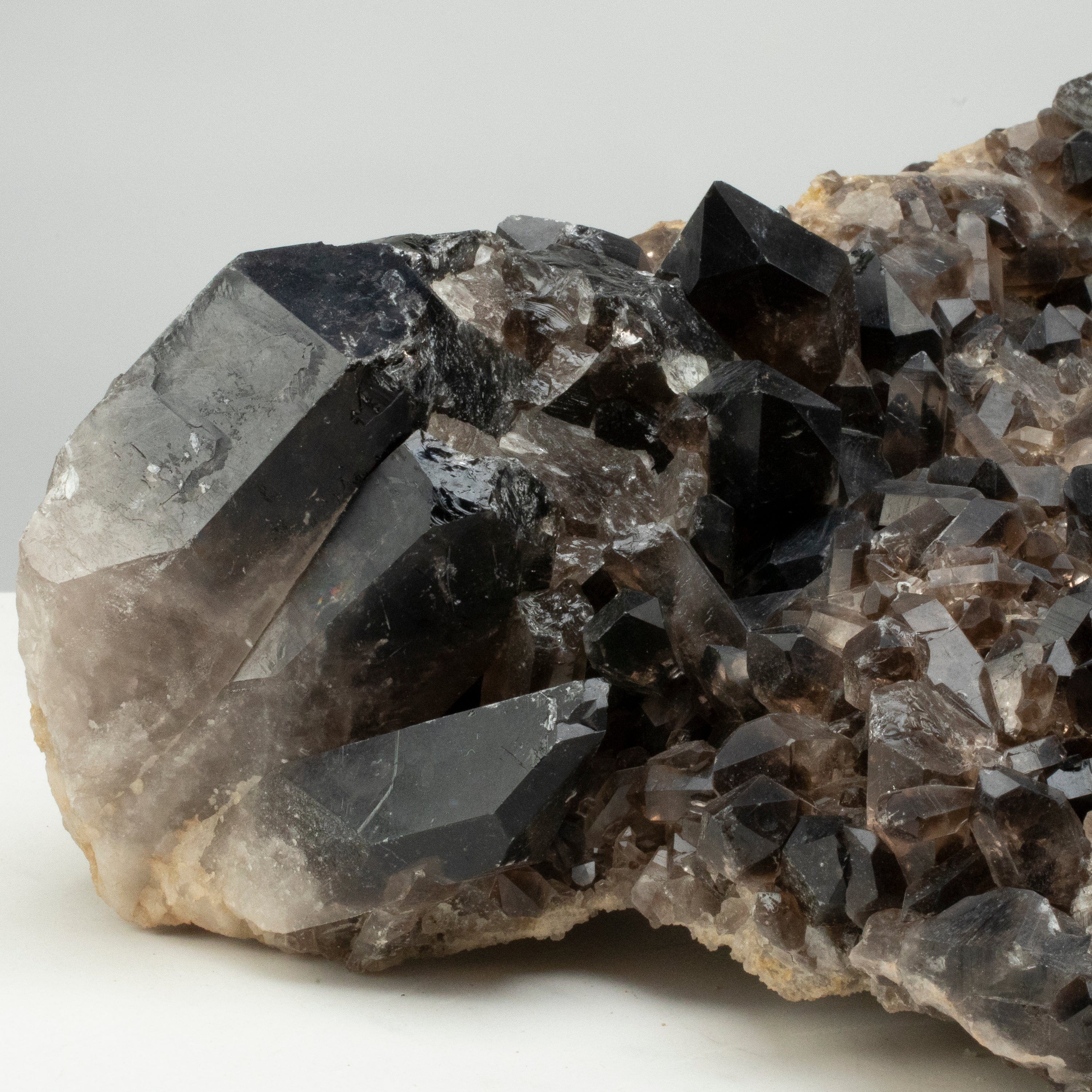 Kalifano Smoky Quartz Smoky Quartz Cluster from Brazil - 16" / 26 lbs SQ5800.001