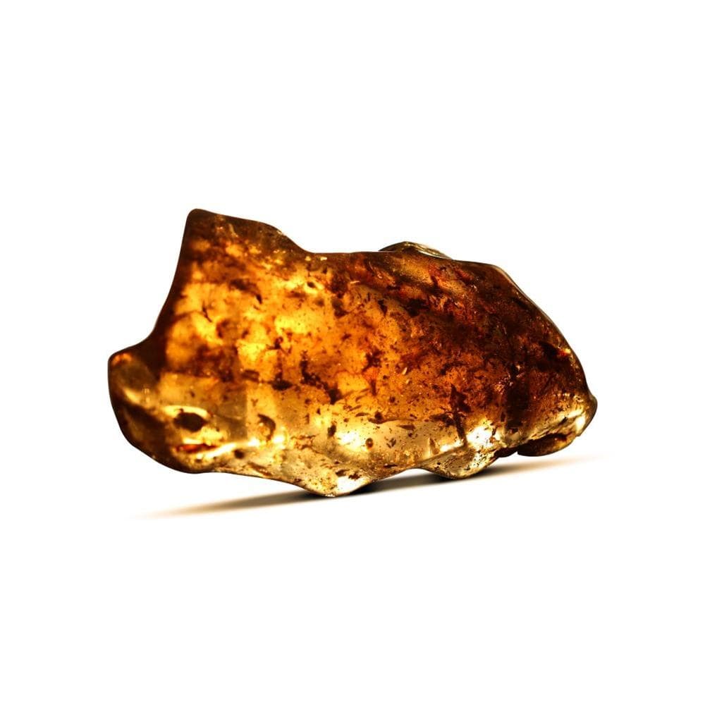 Kalifano Amber AMBER2500.001 - Copal Amber Columbia- 431 Grams 4.25" x 1.25" x 9" AMBER2500.001