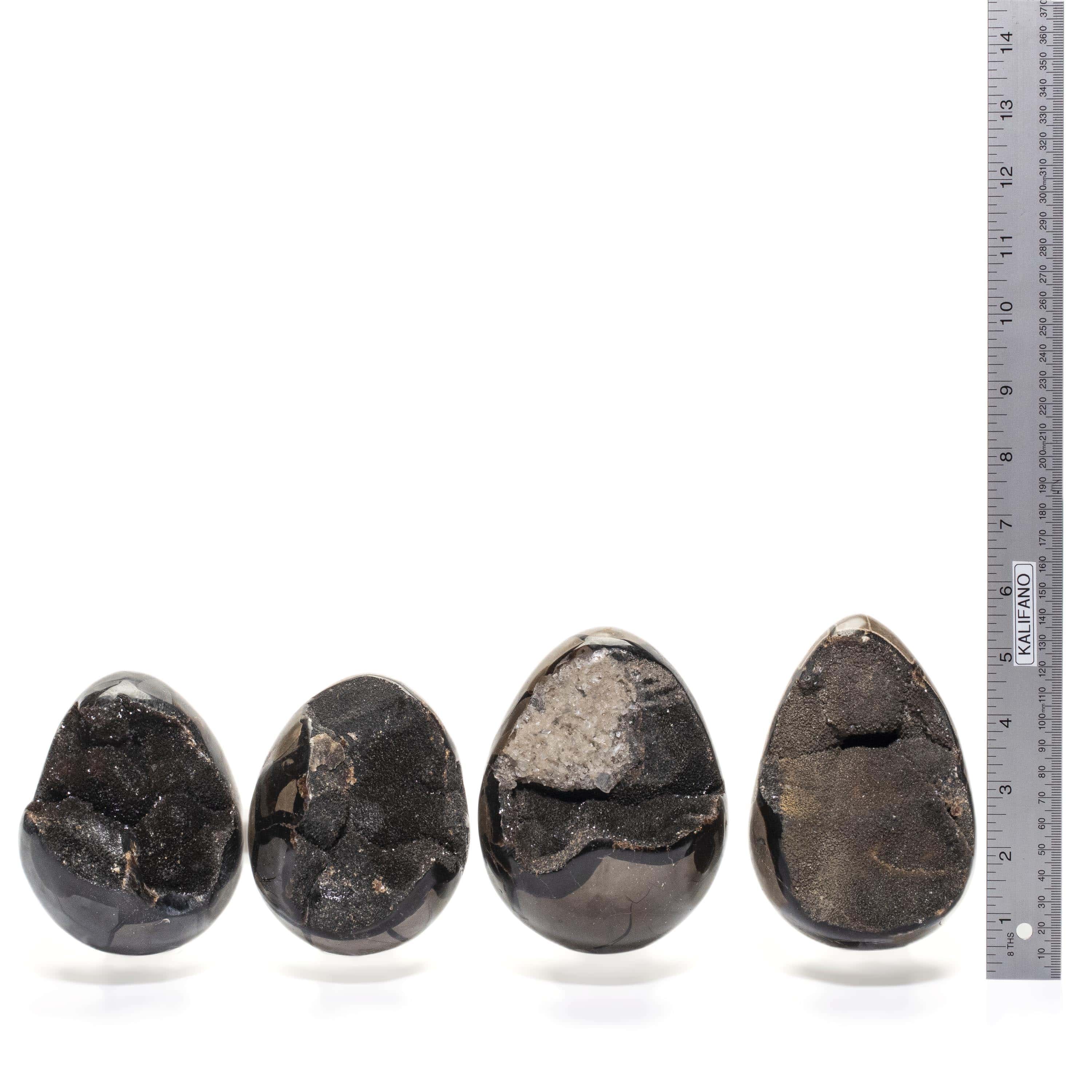Kalifano Ammonites & Orthoceras Natural Septarian Druzy Dragon Egg from Madagascar - 5" / 1,150 grams DE500-SP