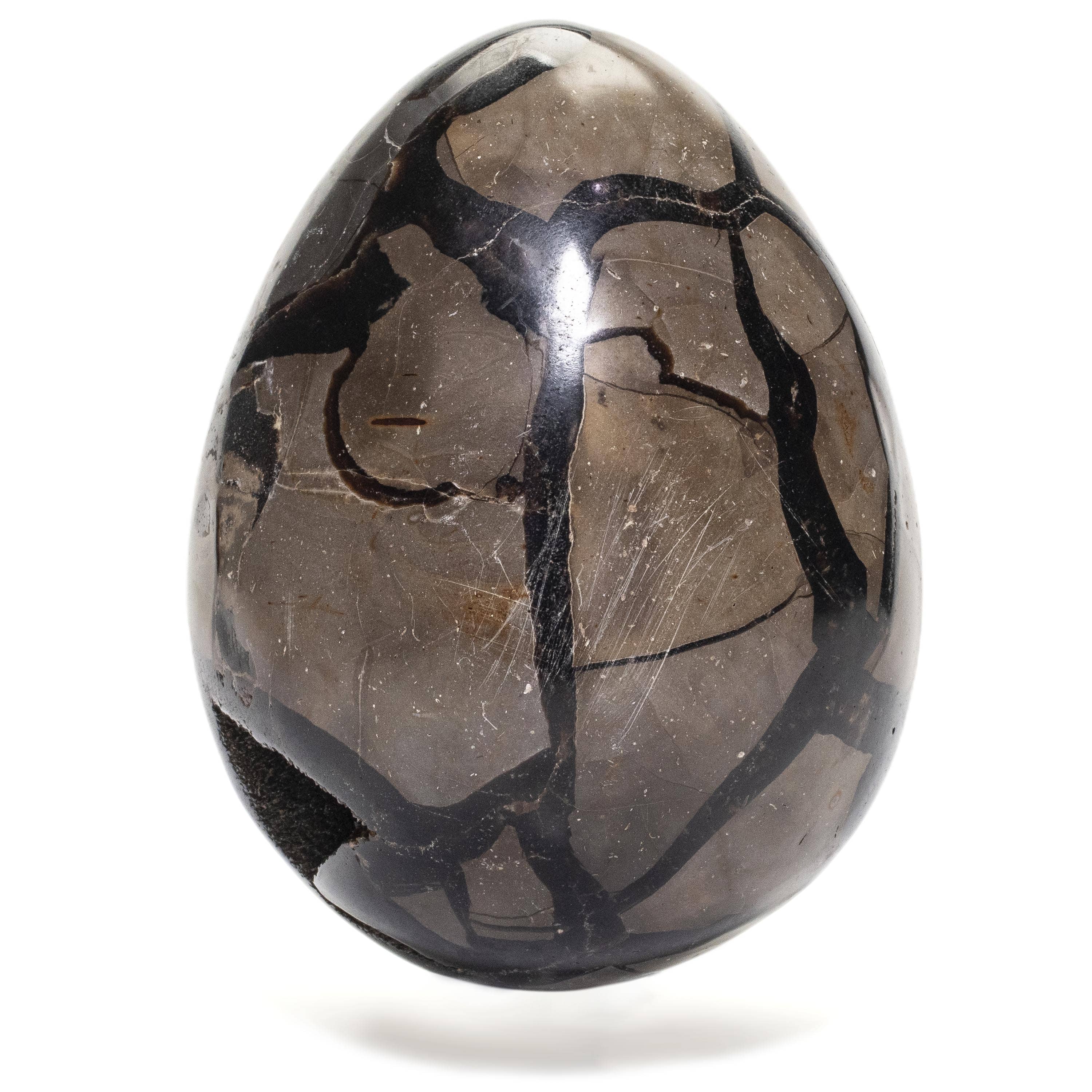 Kalifano Ammonites & Orthoceras Natural Septarian Druzy Dragon Egg from Madagascar - 5" / 1,150 grams DE500-SP