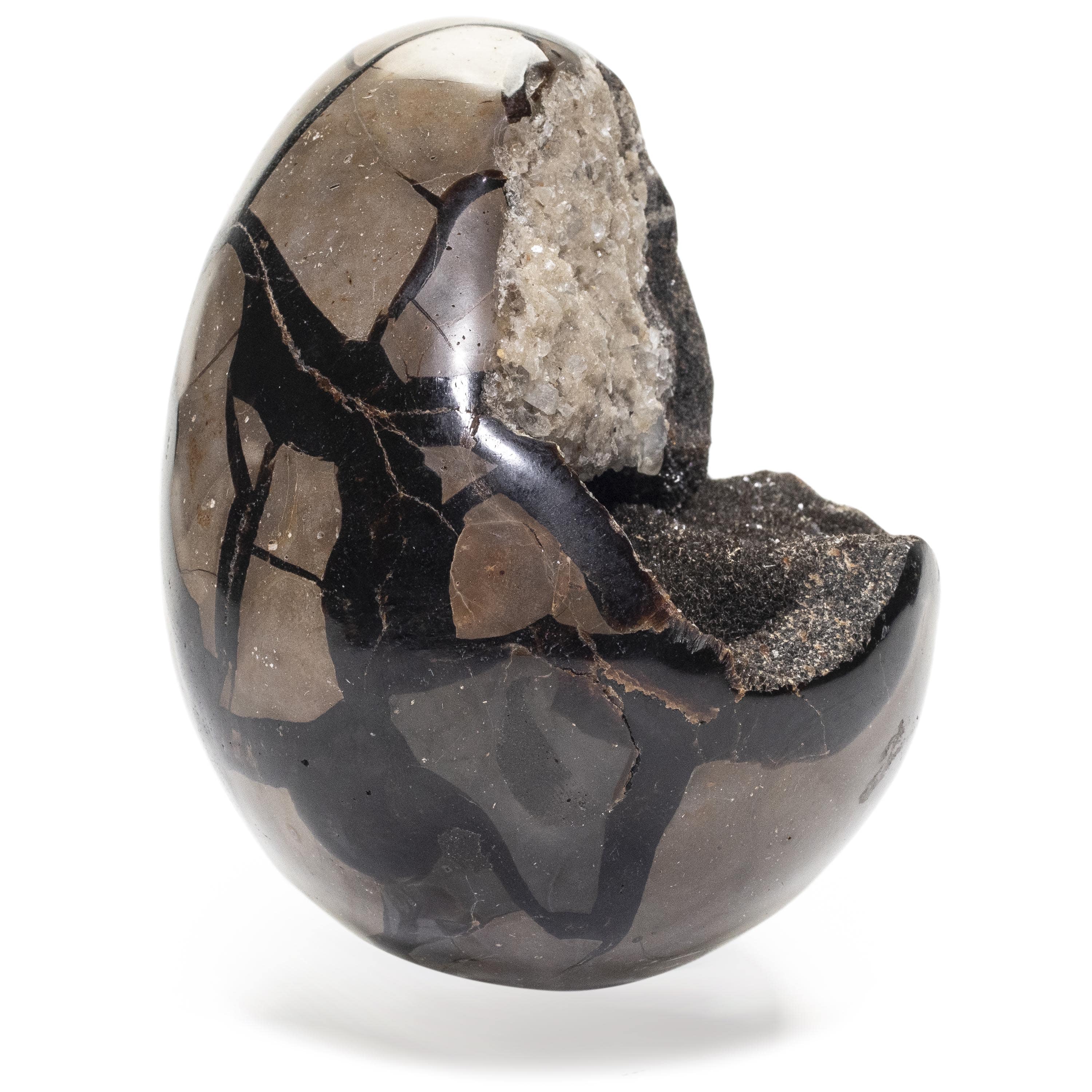 Kalifano Ammonites & Orthoceras Natural Septarian Druzy Dragon Egg from Madagascar - 5" / 1,150 grams DE500-SP