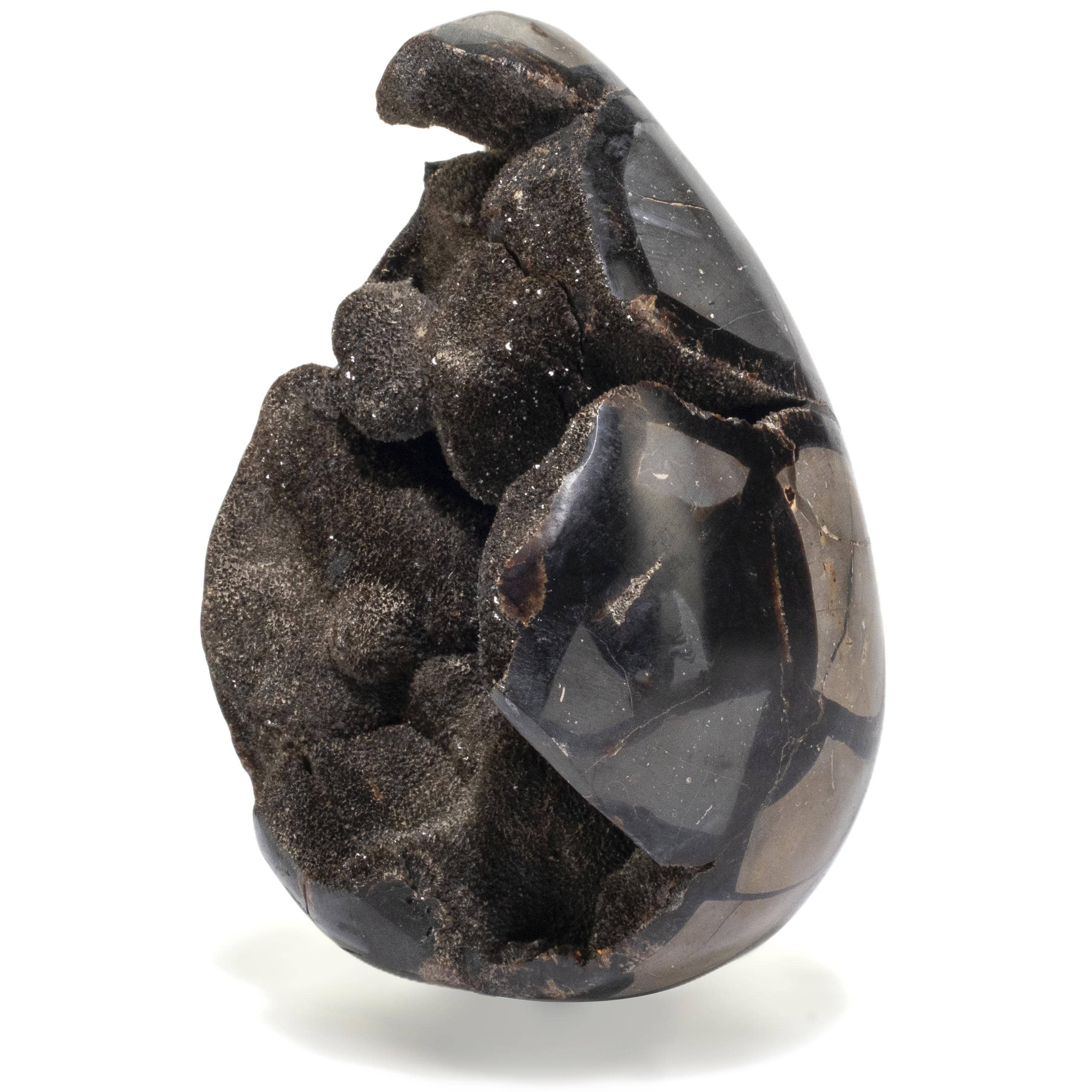 Kalifano Ammonites & Orthoceras Natural Septarian Druzy Dragon Egg from Madagascar - 6" / 1,450 grams DE700-SP