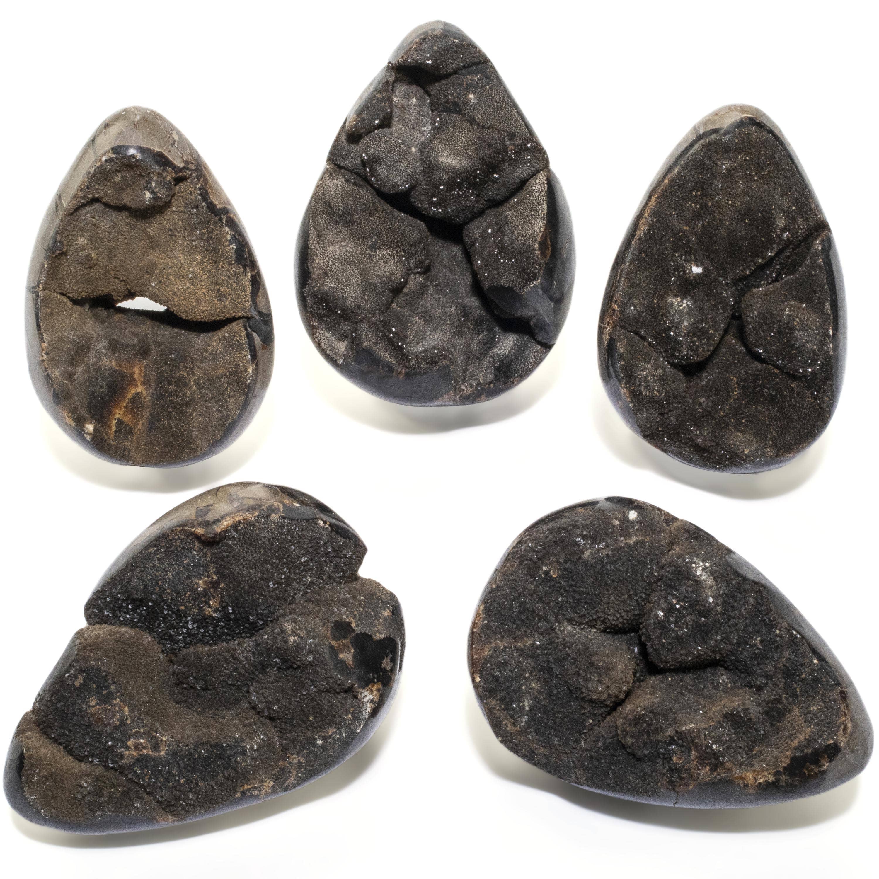 Kalifano Ammonites & Orthoceras Natural Septarian Druzy Dragon Egg from Madagascar - 6" / 1,450 grams DE700-SP