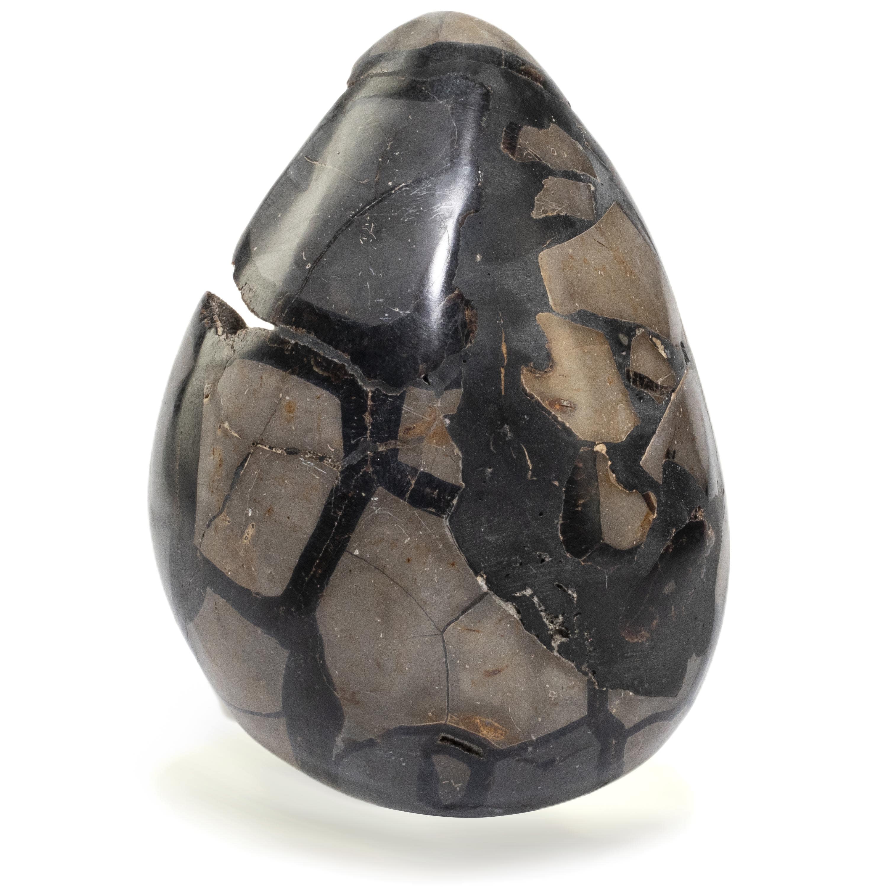 Kalifano Ammonites & Orthoceras Natural Septarian Druzy Dragon Egg from Madagascar - 6" / 1,450 grams DE700-SP