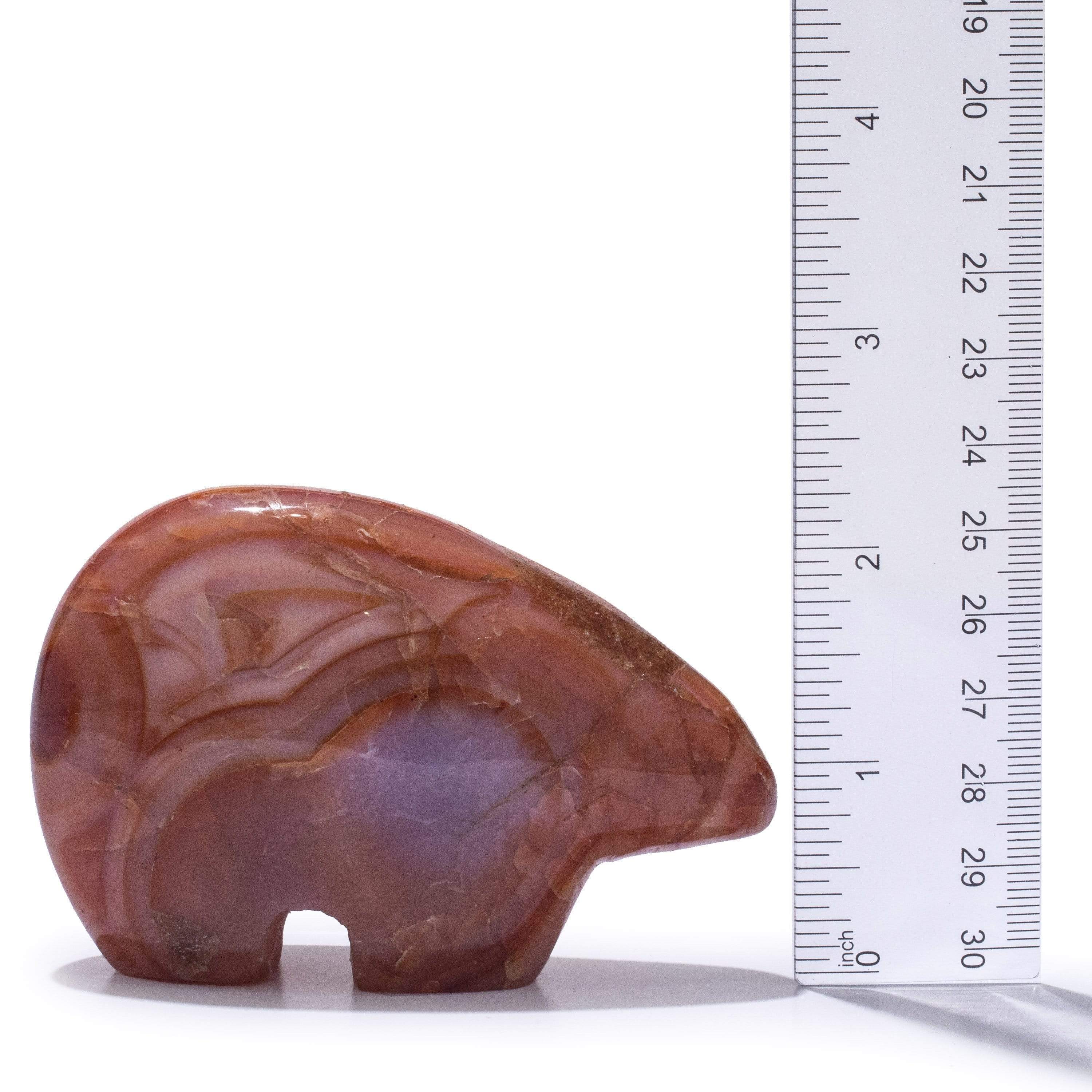 Kalifano Gemstone Carvings GC-BR-CARNELIAN - Carnelian Gem Bear - Madagascar GC-BR-CARNELIAN