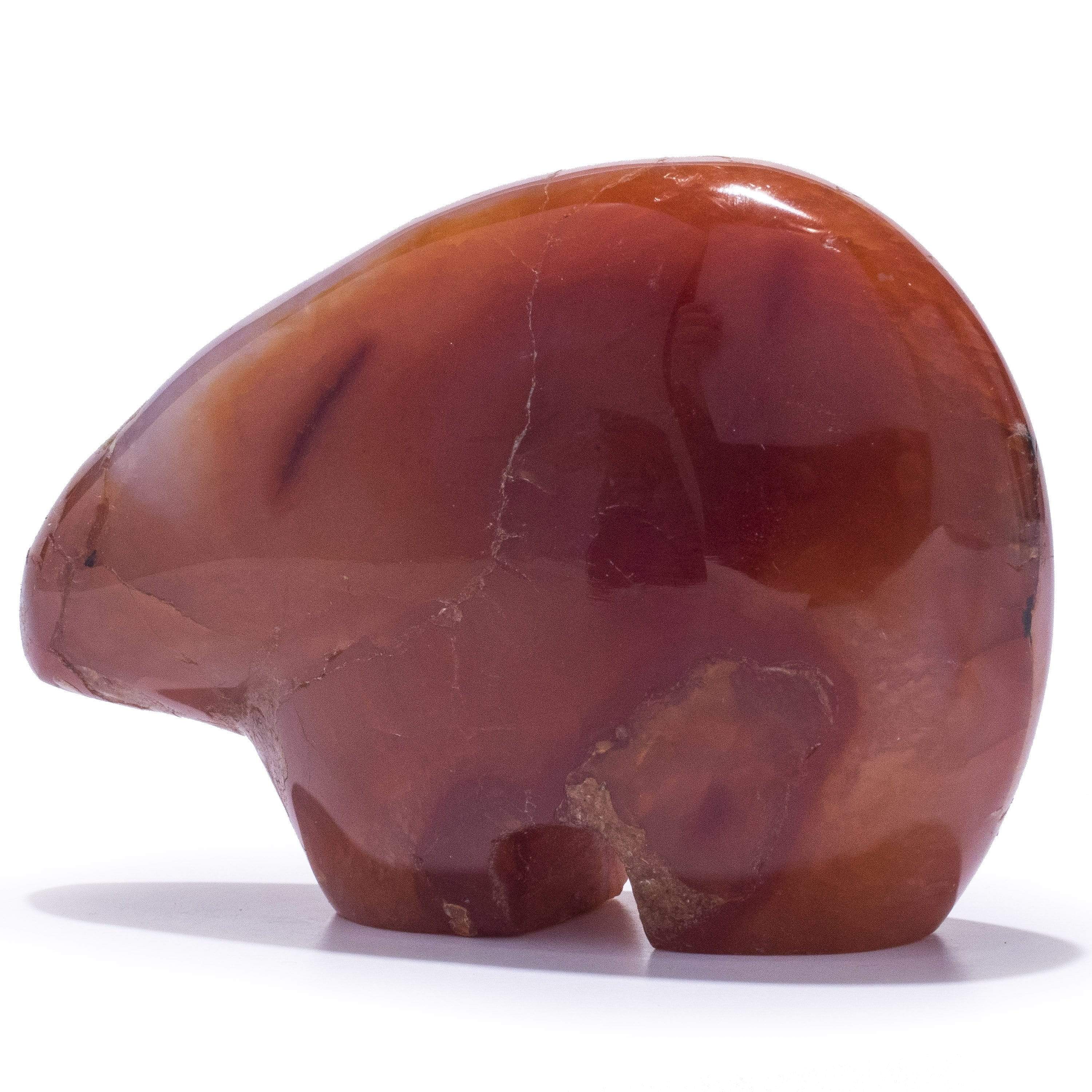 Kalifano Gemstone Carvings GC-BR-CARNELIAN - Carnelian Gem Bear - Madagascar GC-BR-CARNELIAN