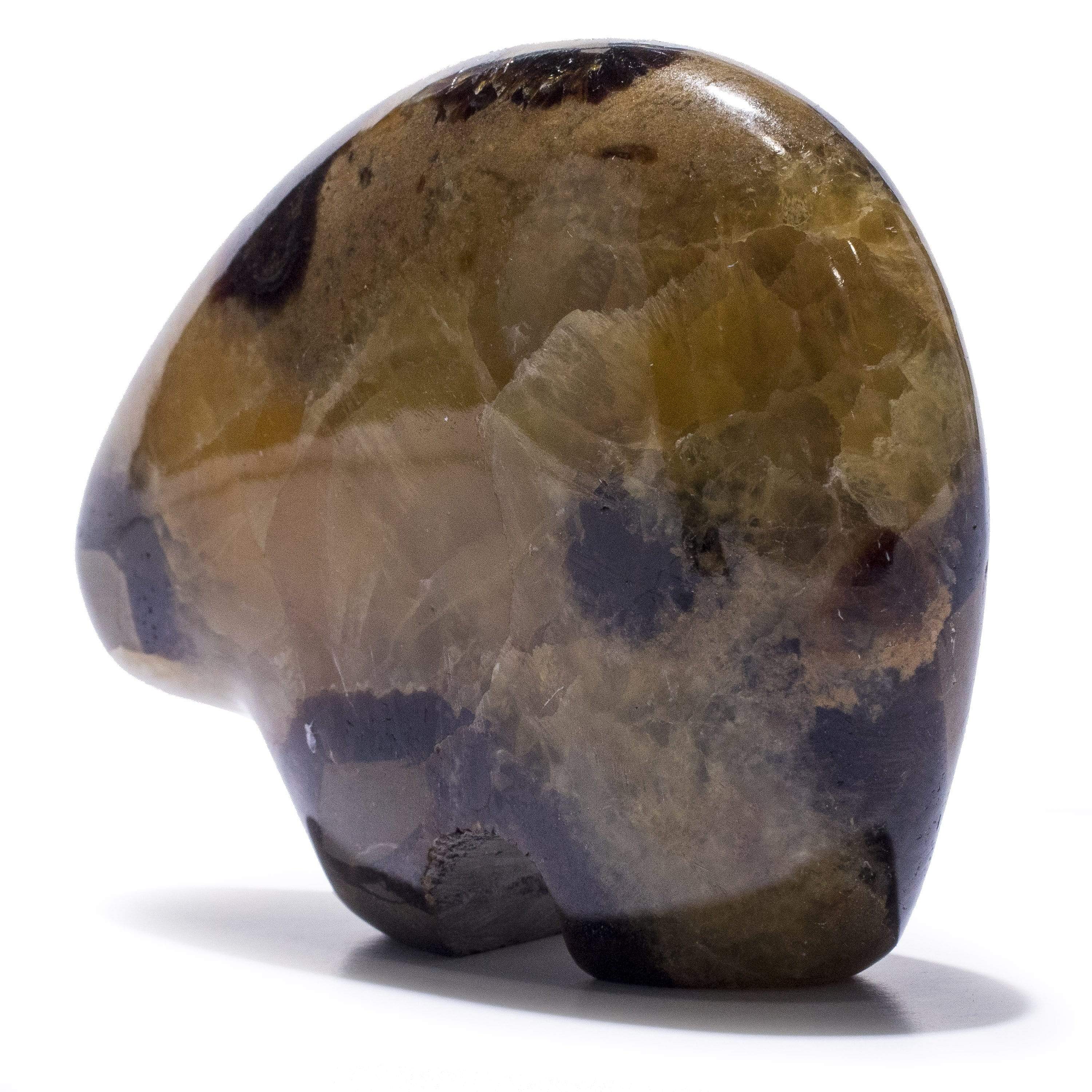 Kalifano Gemstone Carvings GC-BR-SEPTARIAN - Septarian Gem Bear - Madagascar GC-BR-SEPTARIAN