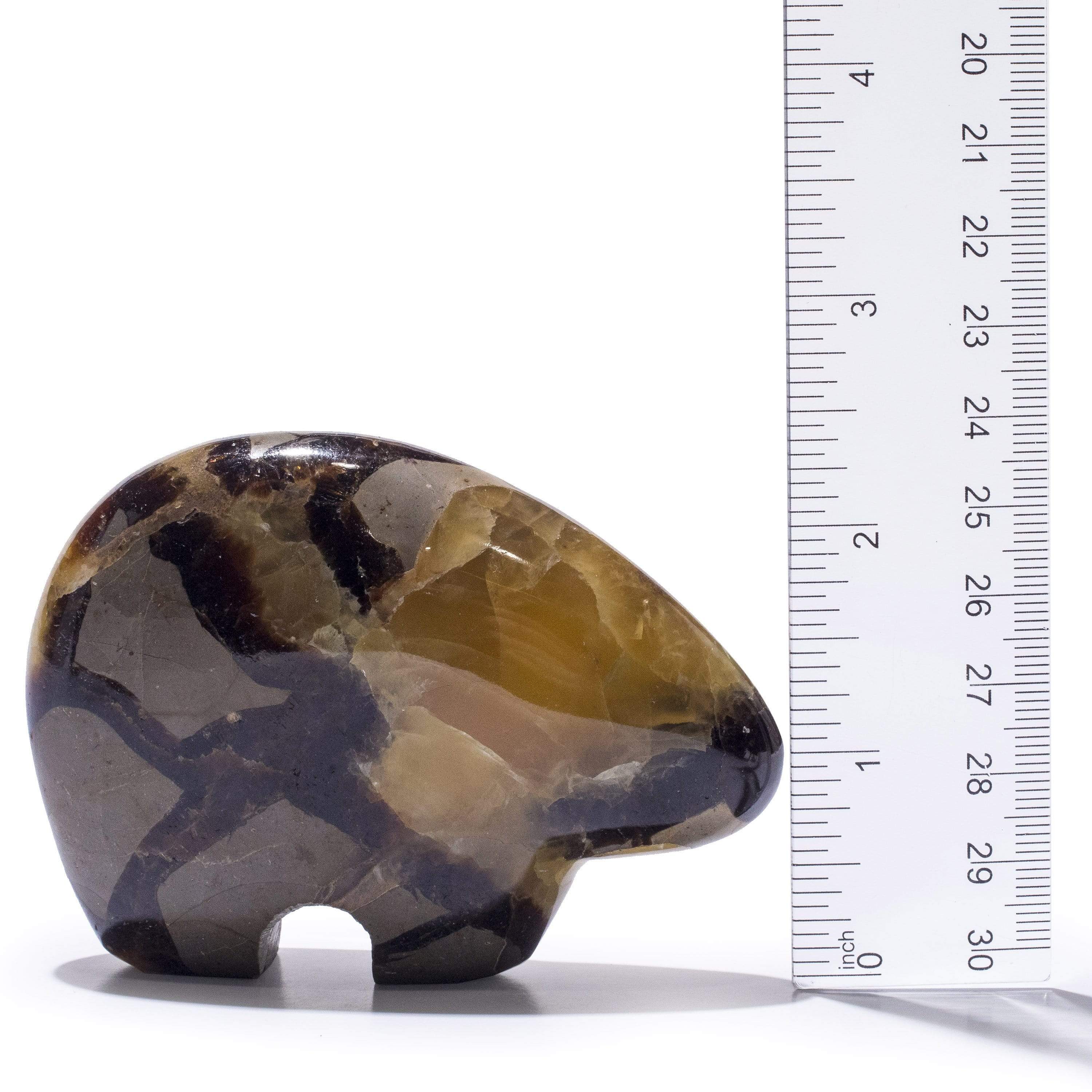 Kalifano Gemstone Carvings GC-BR-SEPTARIAN - Septarian Gem Bear - Madagascar GC-BR-SEPTARIAN