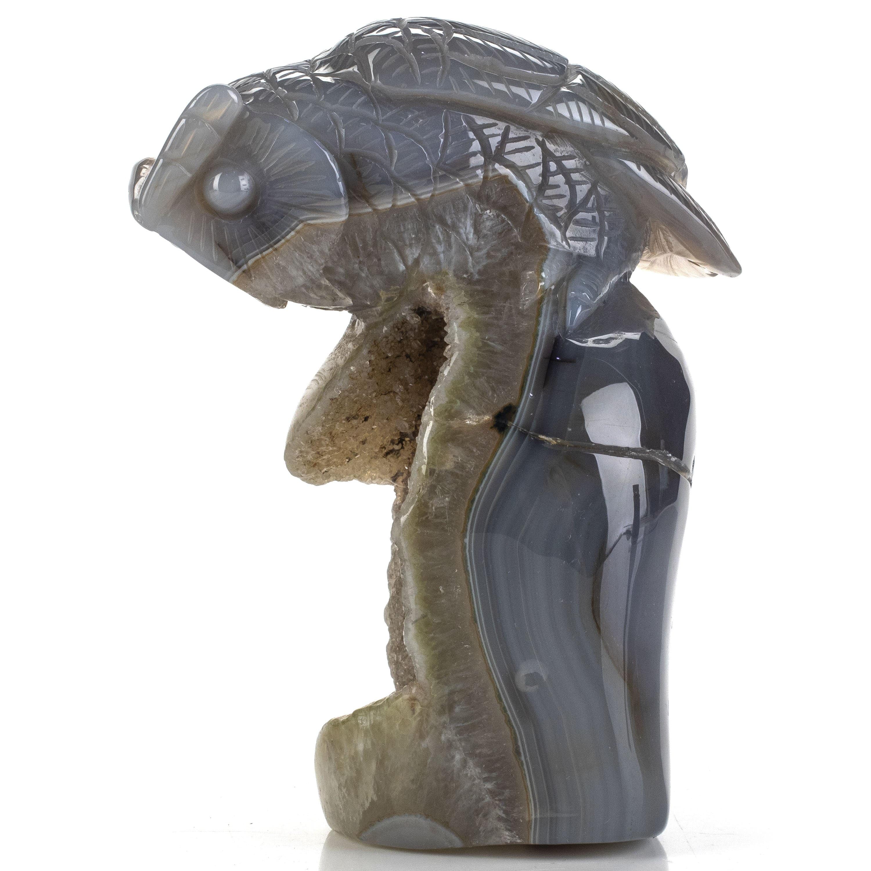 Kalifano Gemstone Carvings Natural Brazilian Blue Lace Agate Owl Animal Carving - 5.6 in CV372.001