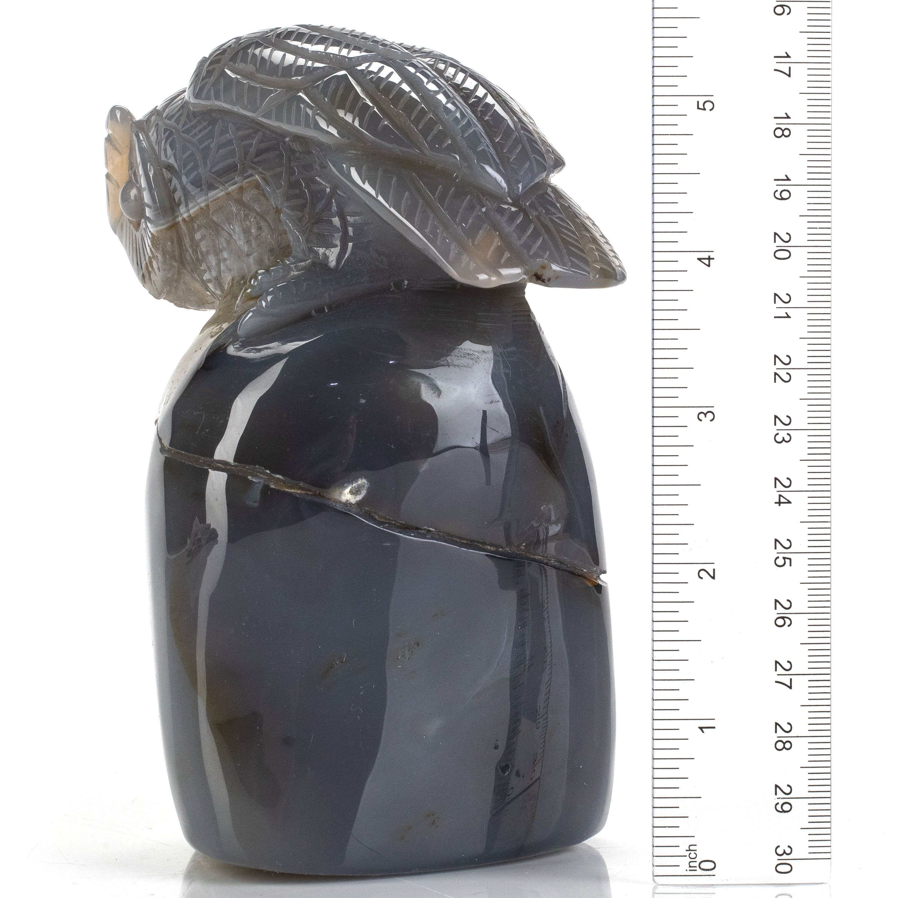 Kalifano Gemstone Carvings Natural Brazilian Blue Lace Agate Owl Animal Carving - 5.6 in CV372.001