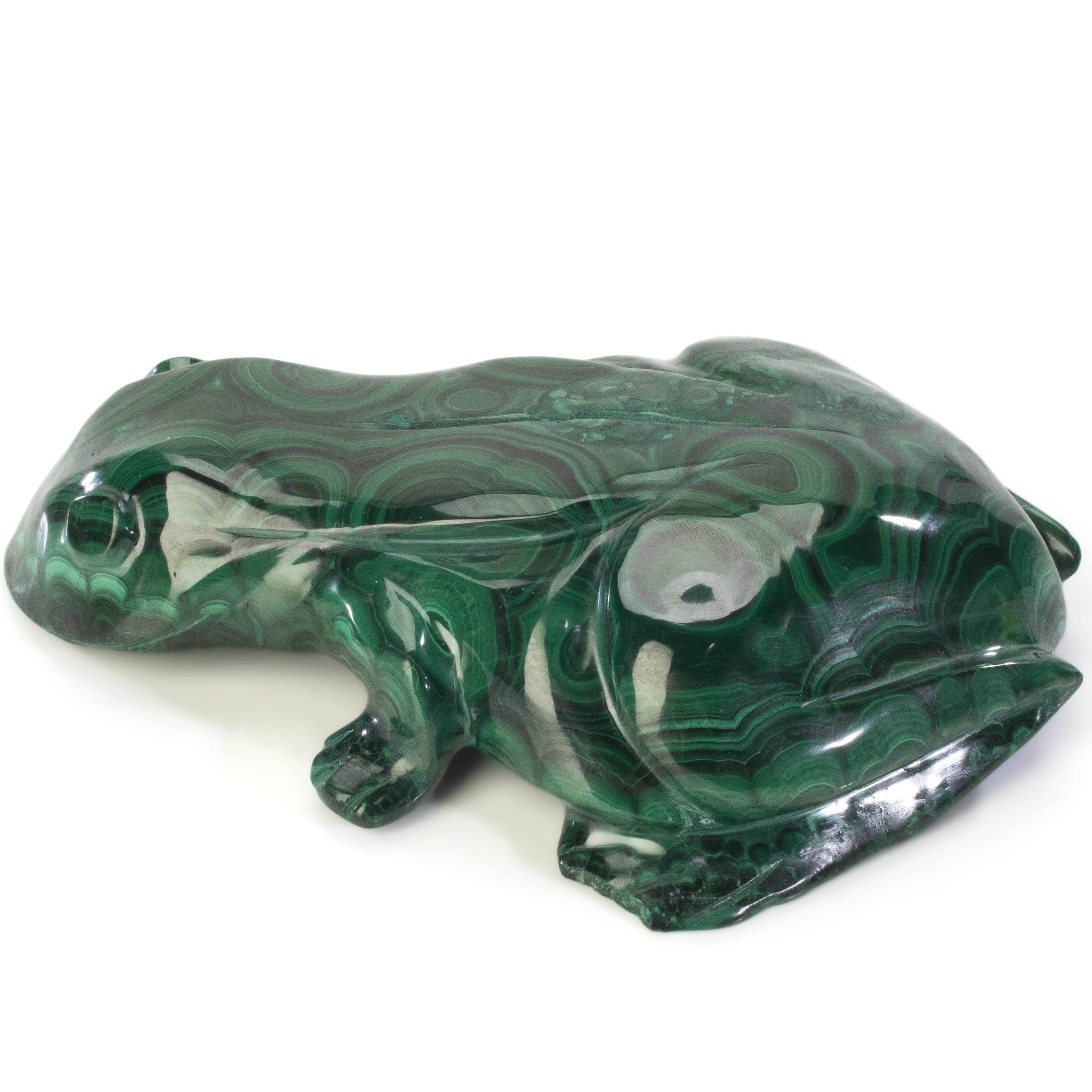 Kalifano Malachite Malachite Frog Carving 7" / 1,780g CV5600-MA.001