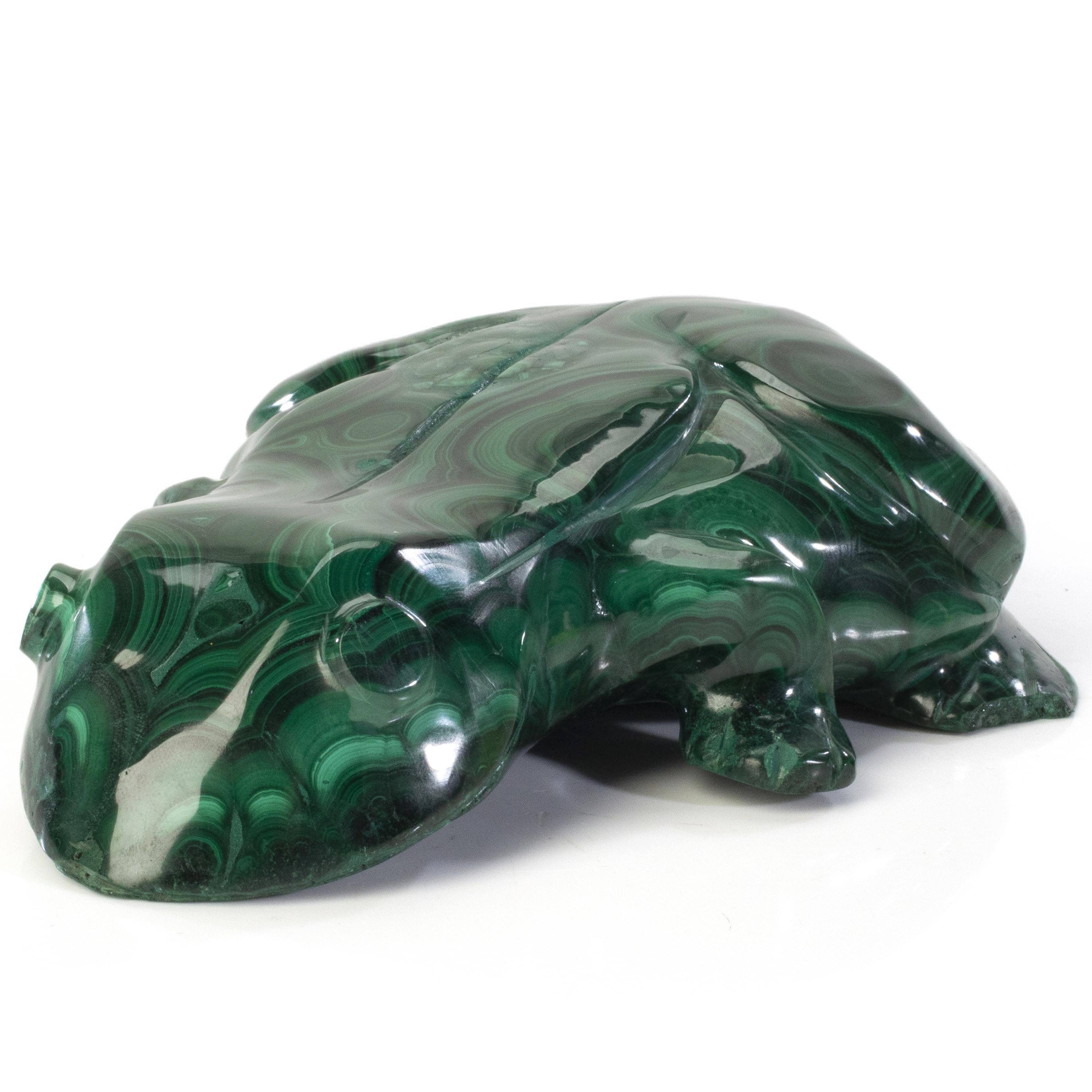 Kalifano Malachite Malachite Frog Carving 7" / 1,780g CV5600-MA.001