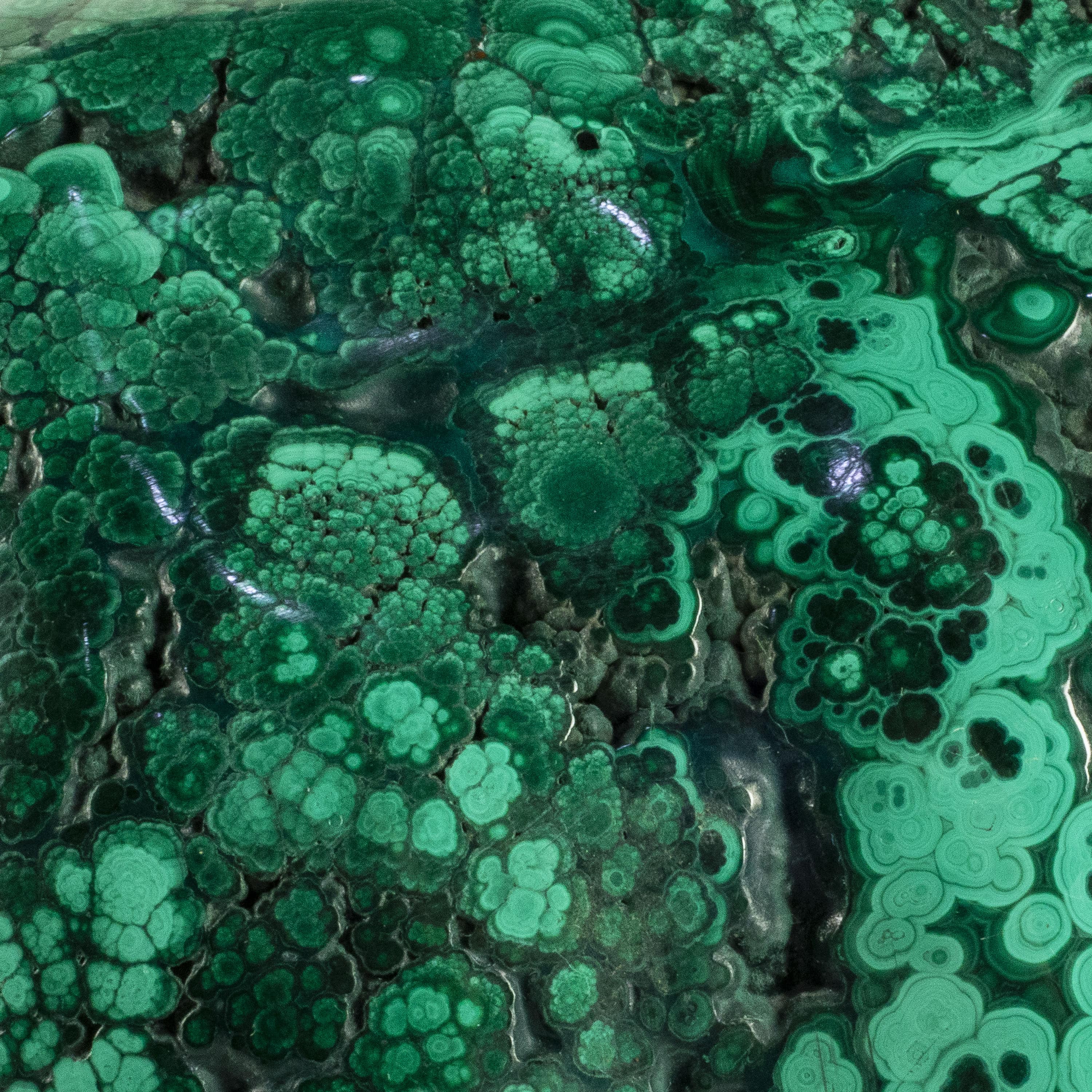 Kalifano Malachite Rare Natural Green Malachite Polished Freeform Specimen from Congo - 4.7 kg / 10.4 lbs MA3300.002
