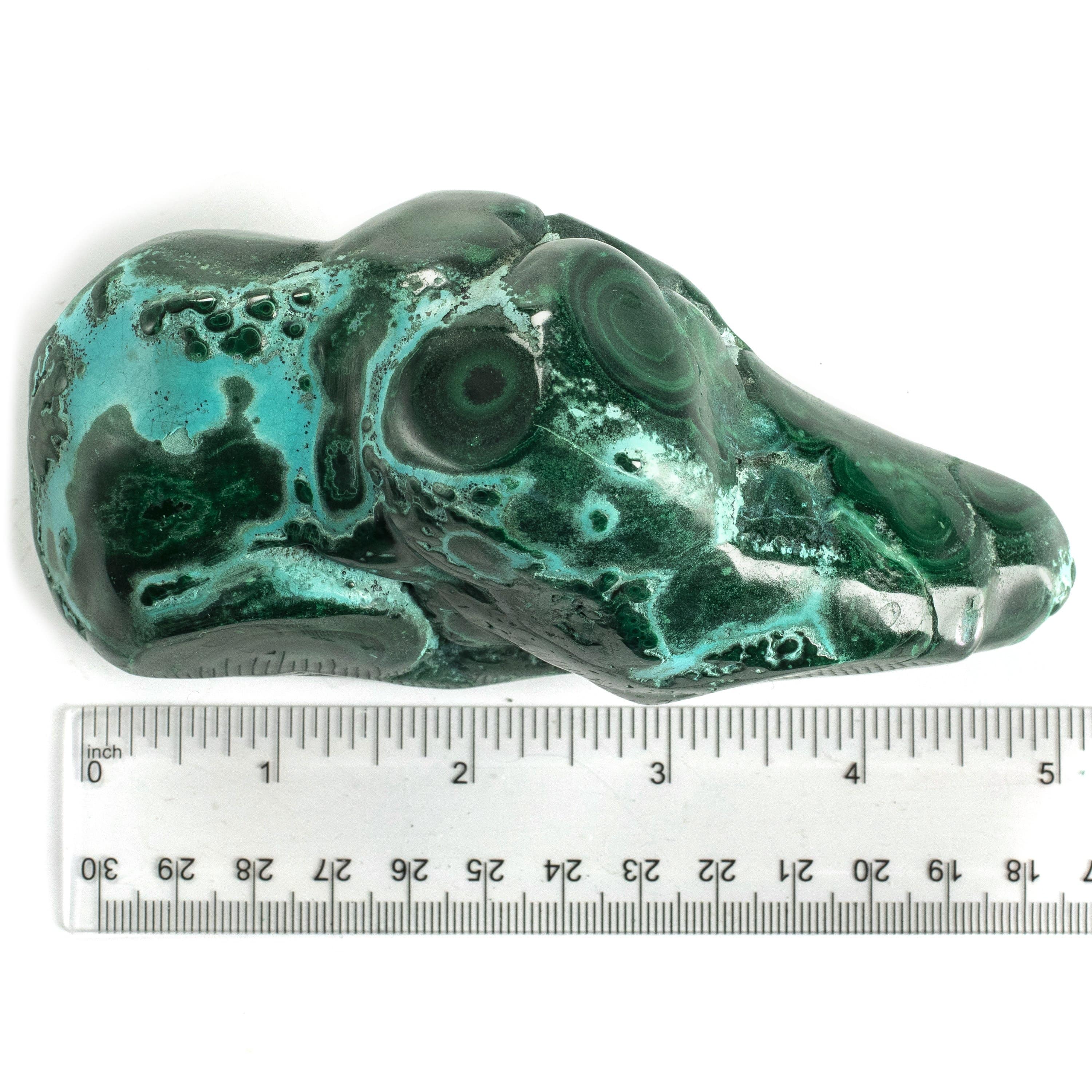 Kalifano Malachite Rare Natural Green Malachite with Blue Chrysocolla Freeform Specimen from Congo - 0.9 kg / 1.8 lbs MAC800.002