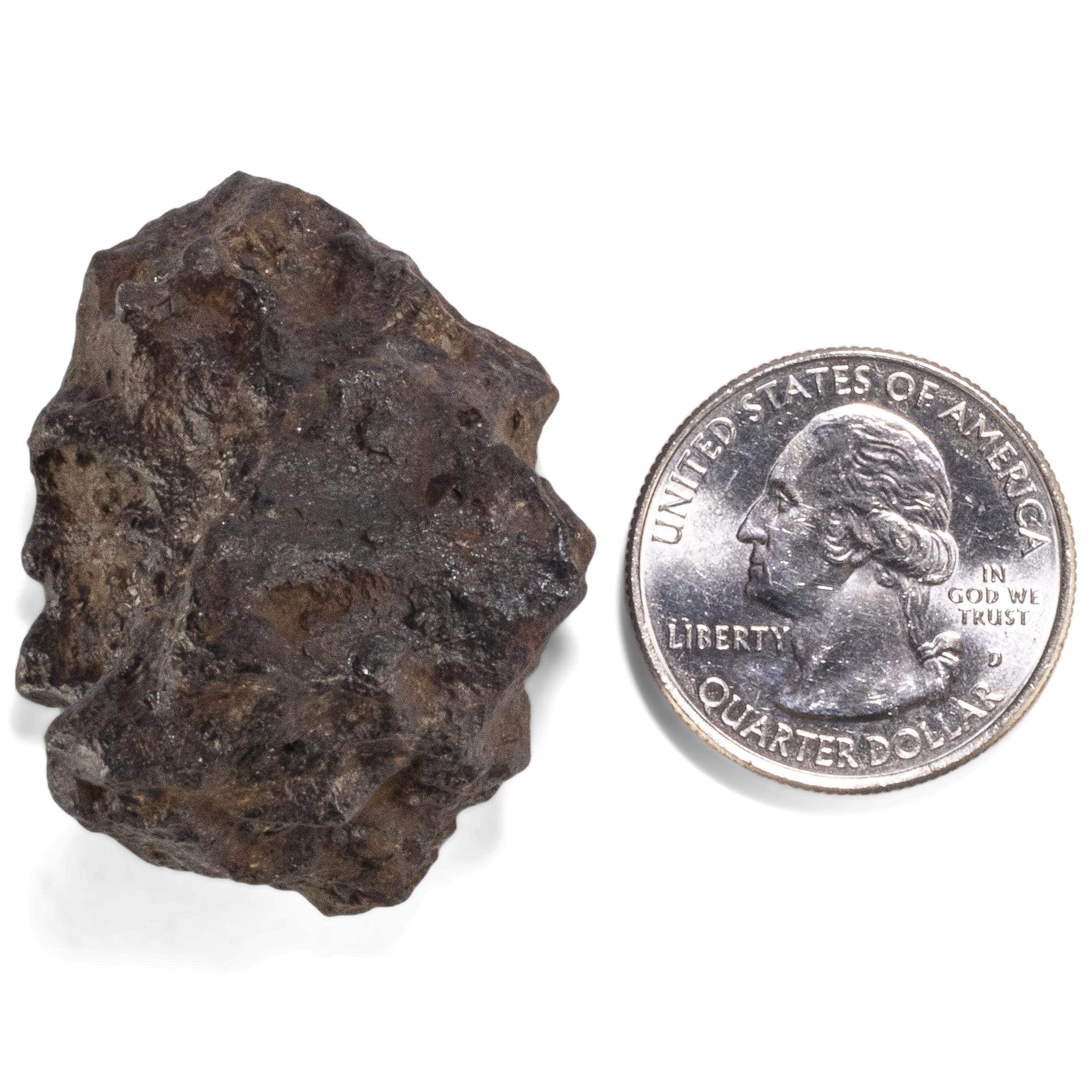 Kalifano Meteorites Sericho Iron Meteorite discovered in Kenya - 52.6 grams MTCHO1000.005