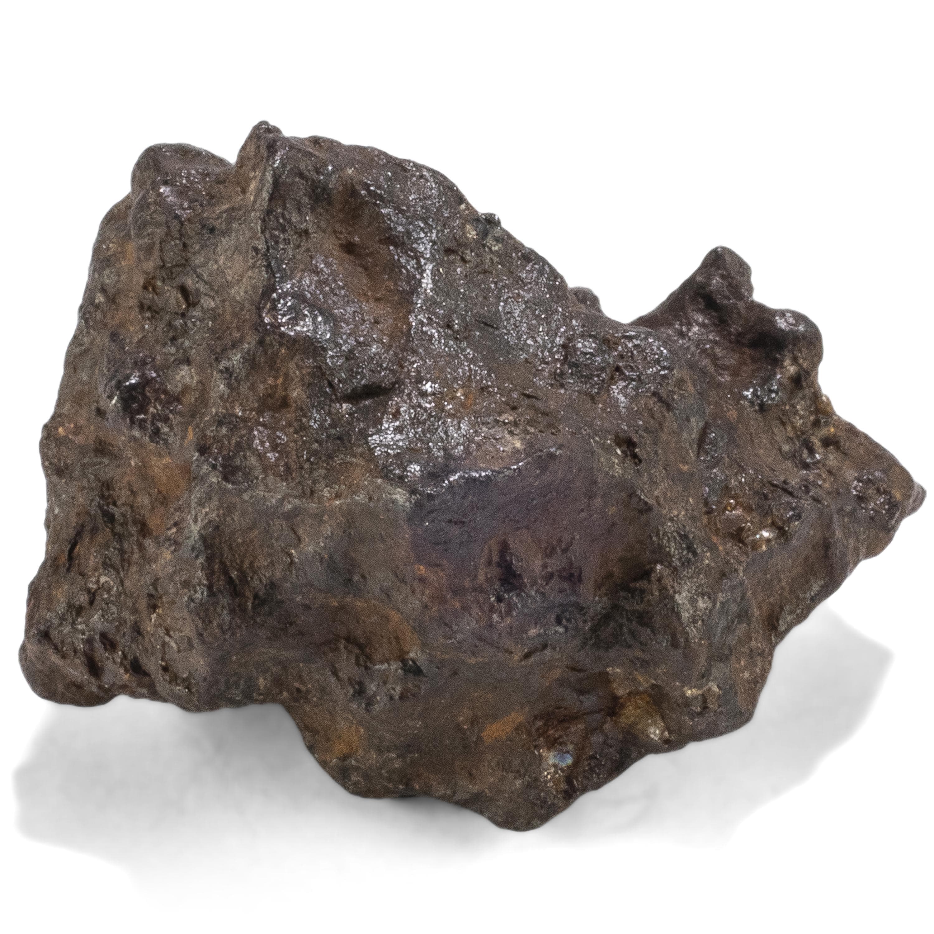 Kalifano Meteorites Sericho Iron Meteorite discovered in Kenya - 52.6 grams MTCHO1000.005
