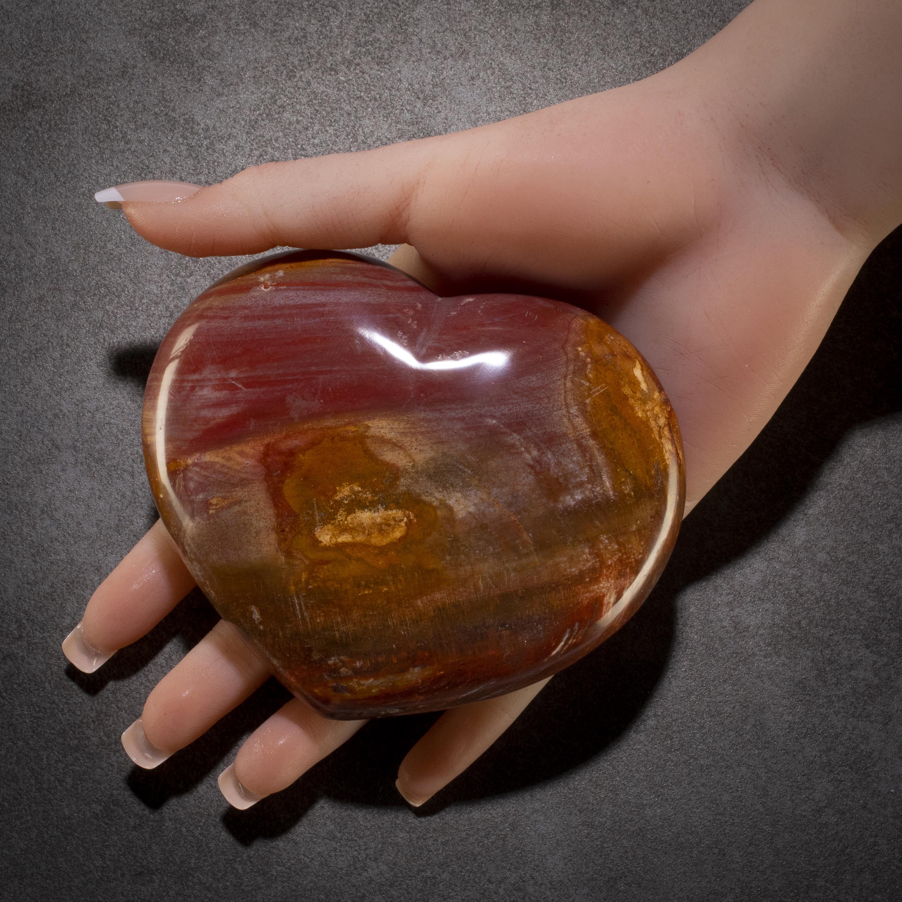 KALIFANO Petrified Wood Petrified Wood Gemstone Heart Carving 480g / 4in. GH500-PW