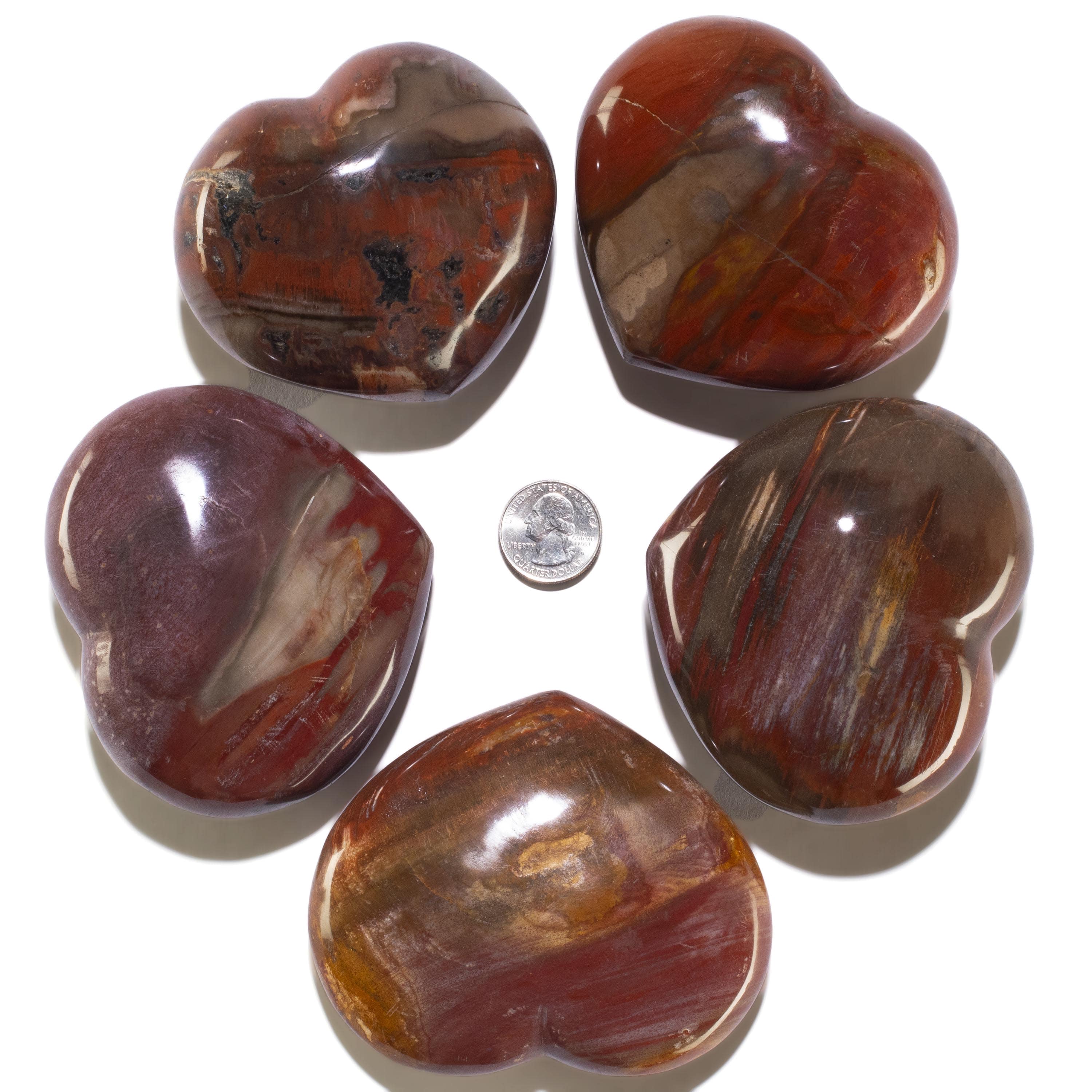 KALIFANO Petrified Wood Petrified Wood Gemstone Heart Carving 480g / 4in. GH500-PW