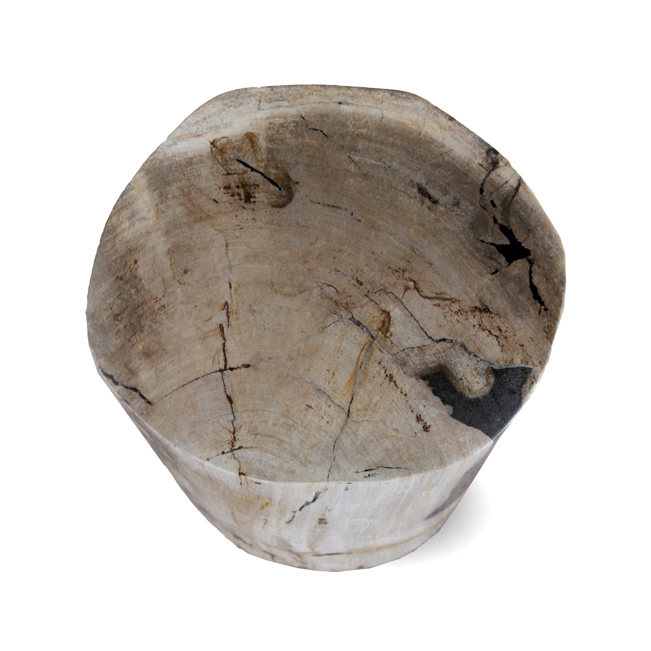 Kalifano Petrified Wood Petrified Wood Round Stump / Stool from Indonesia - 16" / 157 lbs PWS2800.005