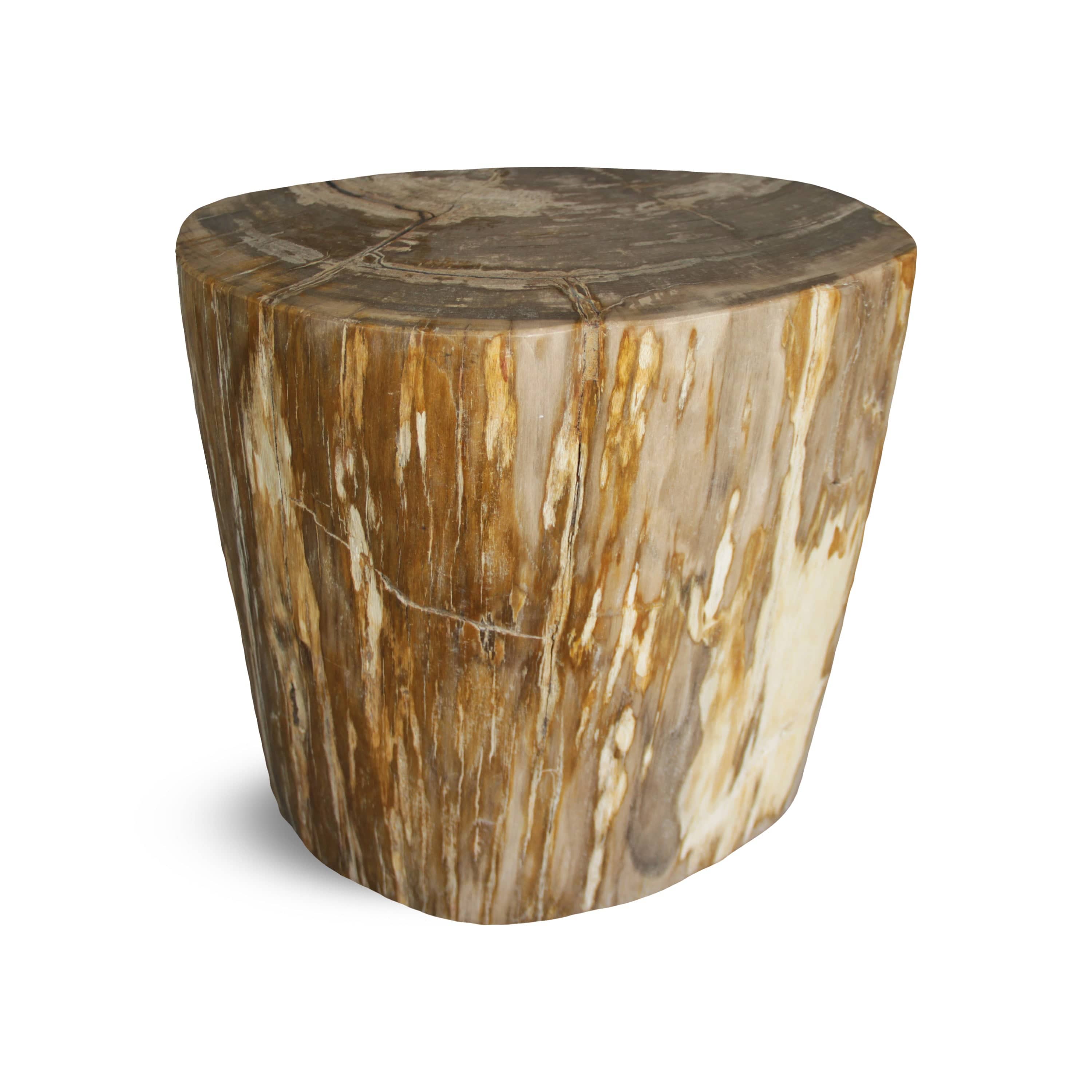 Kalifano Petrified Wood Petrified Wood Round Stump / Stool from Indonesia - 16" / 172 lbs PWS3200.007