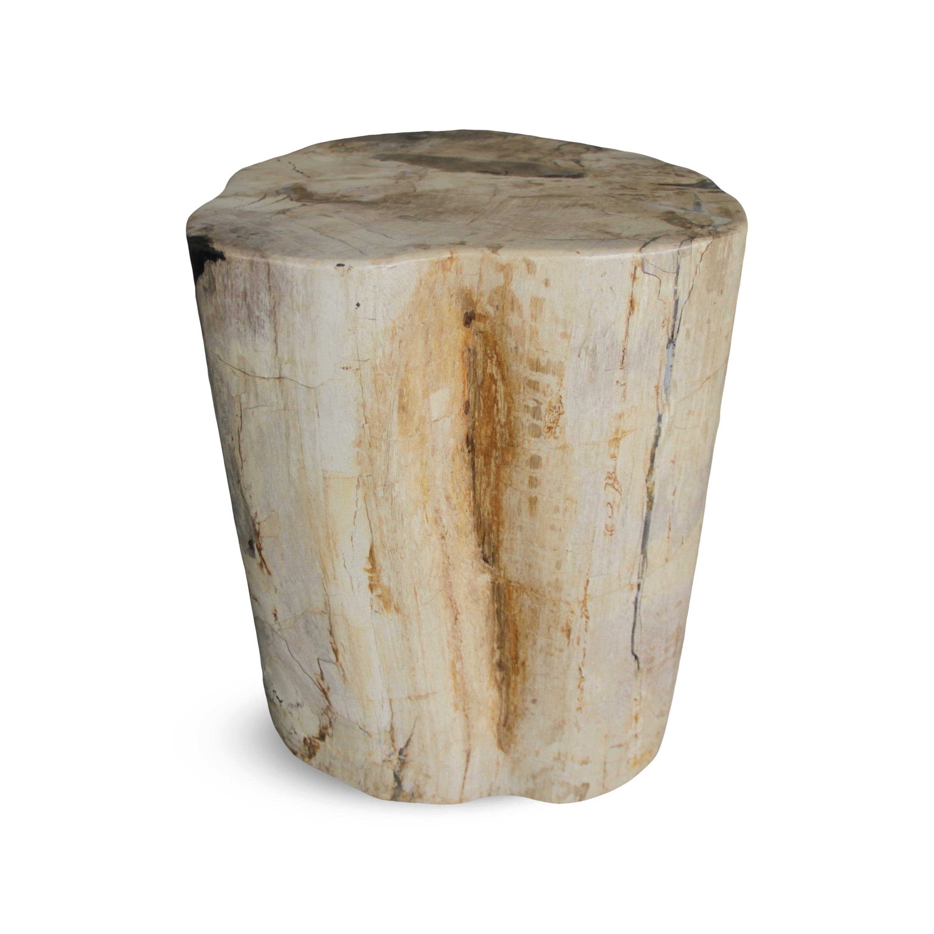 Kalifano Petrified Wood Petrified Wood Round Stump / Stool from Indonesia - 16" / 172 lbs PWS3200.008