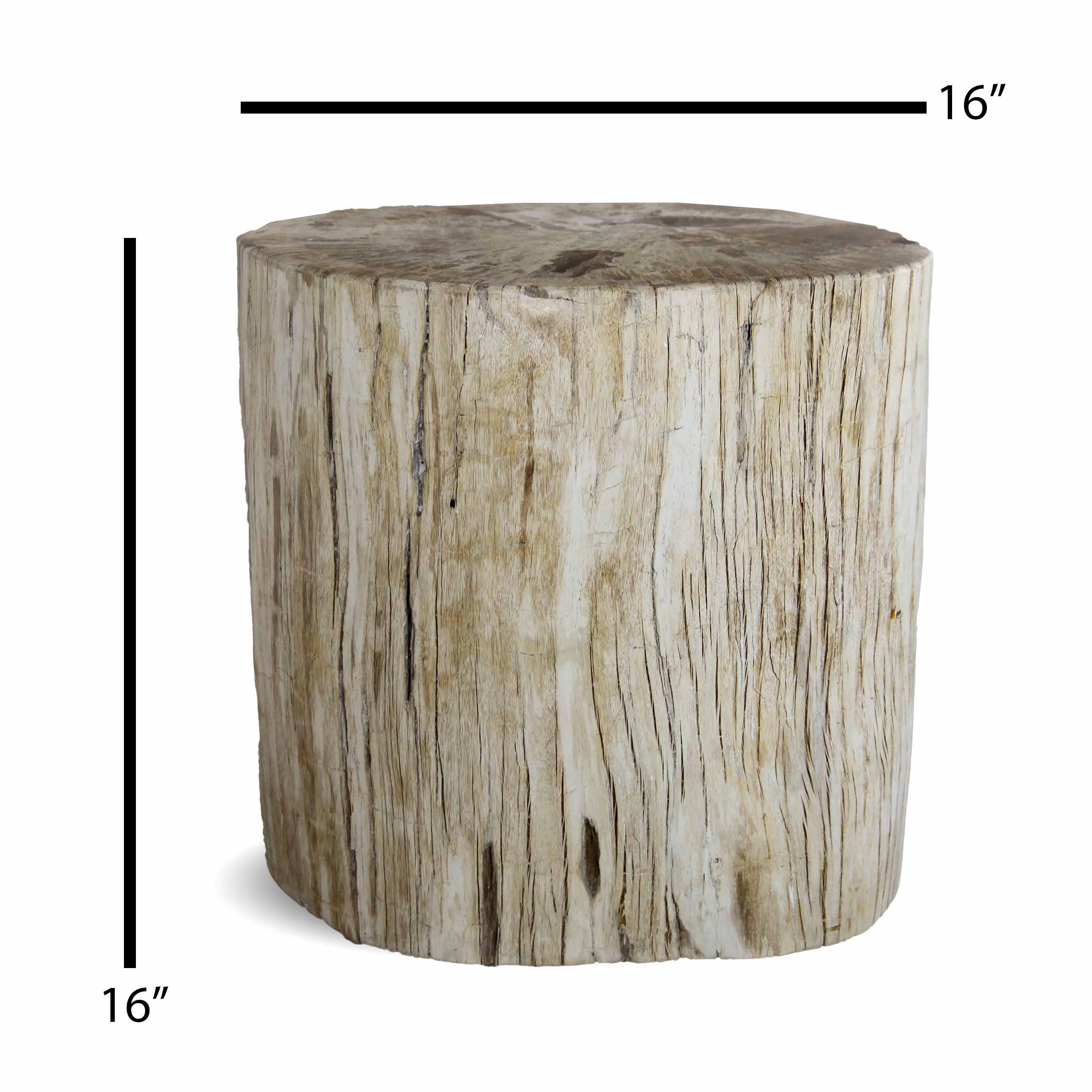Kalifano Petrified Wood Petrified Wood Round Stump / Stool from Indonesia - 16" / 181 lbs PWS3300.003