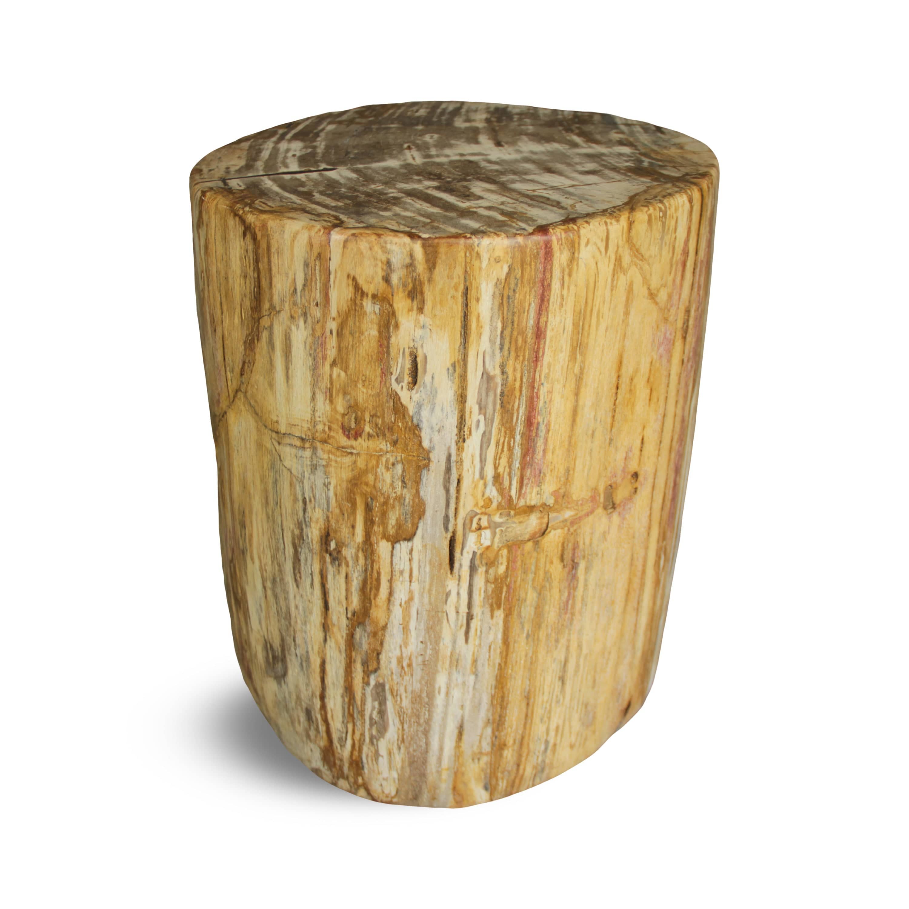 Kalifano Petrified Wood Petrified Wood Round Stump / Stool from Indonesia - 16" / 187 lbs PWS3400.008