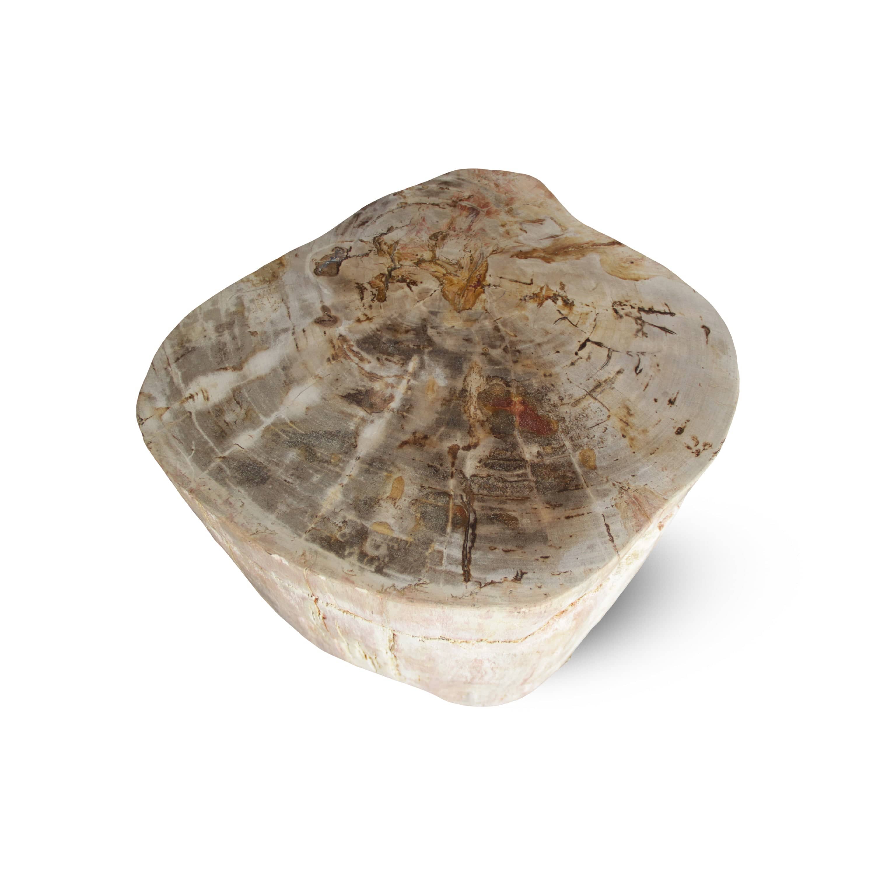 Kalifano Petrified Wood Petrified Wood Round Stump / Stool from Indonesia - 16" / 231 lbs PWS4200.005