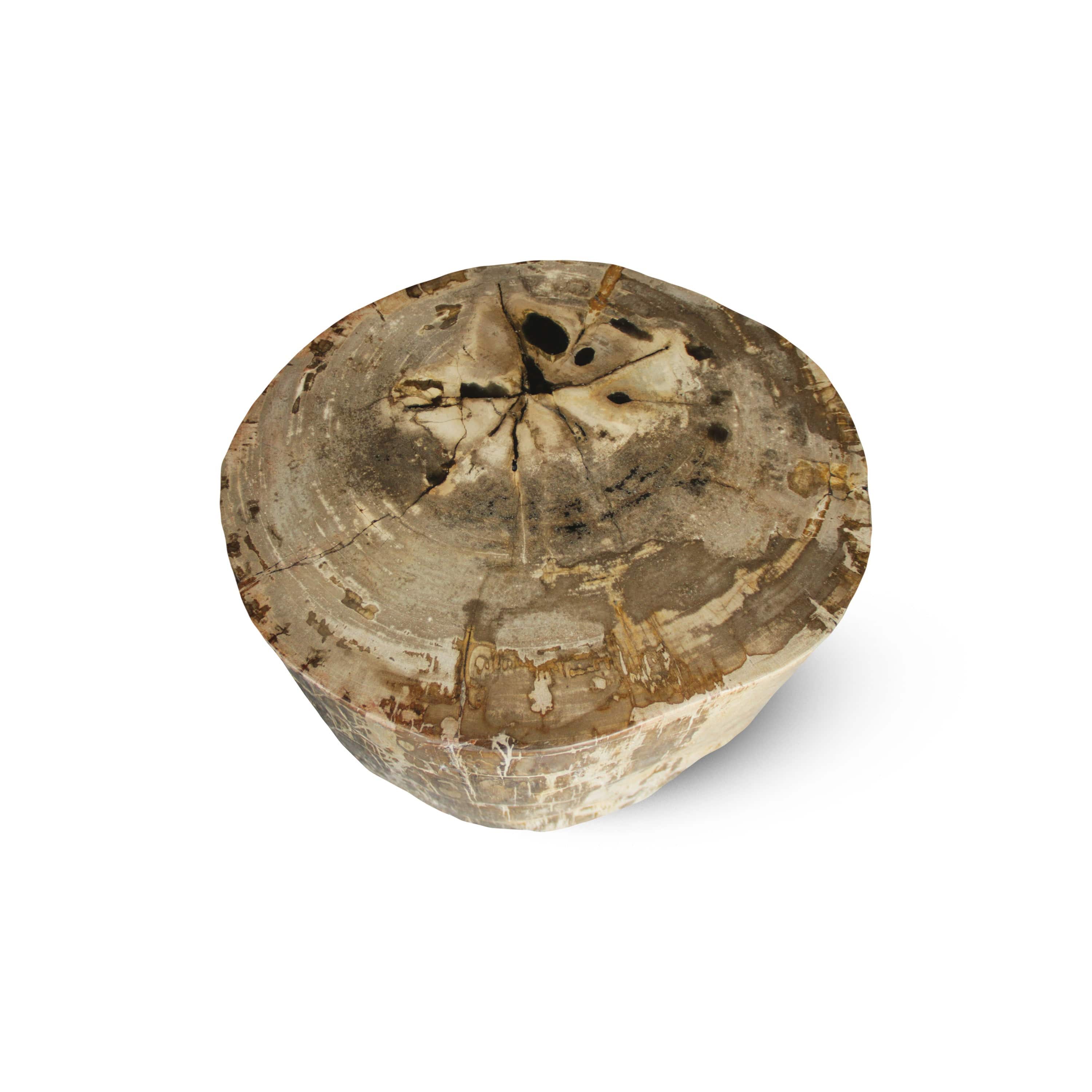 Kalifano Petrified Wood Petrified Wood Round Stump / Stool from Indonesia - 16" / 266 lbs PWS5000.004