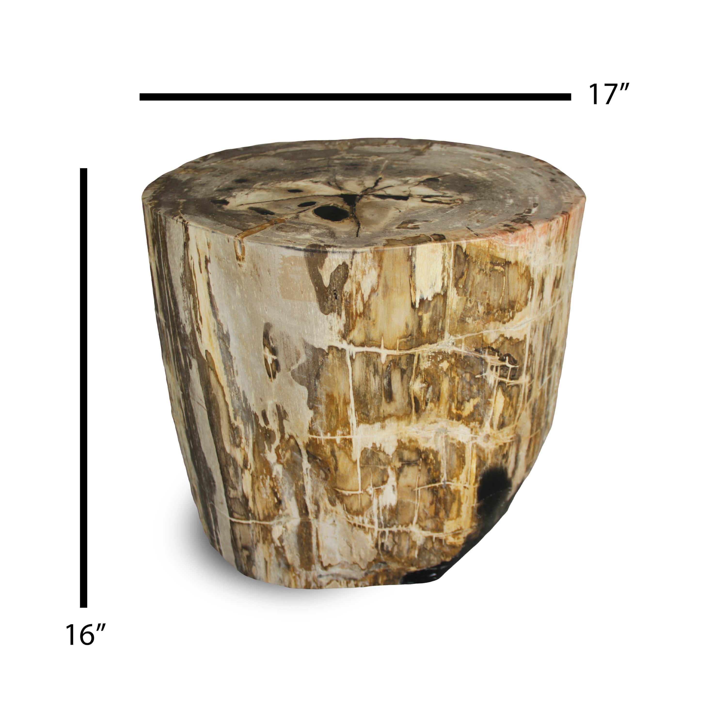 Kalifano Petrified Wood Petrified Wood Round Stump / Stool from Indonesia - 16" / 266 lbs PWS5000.004