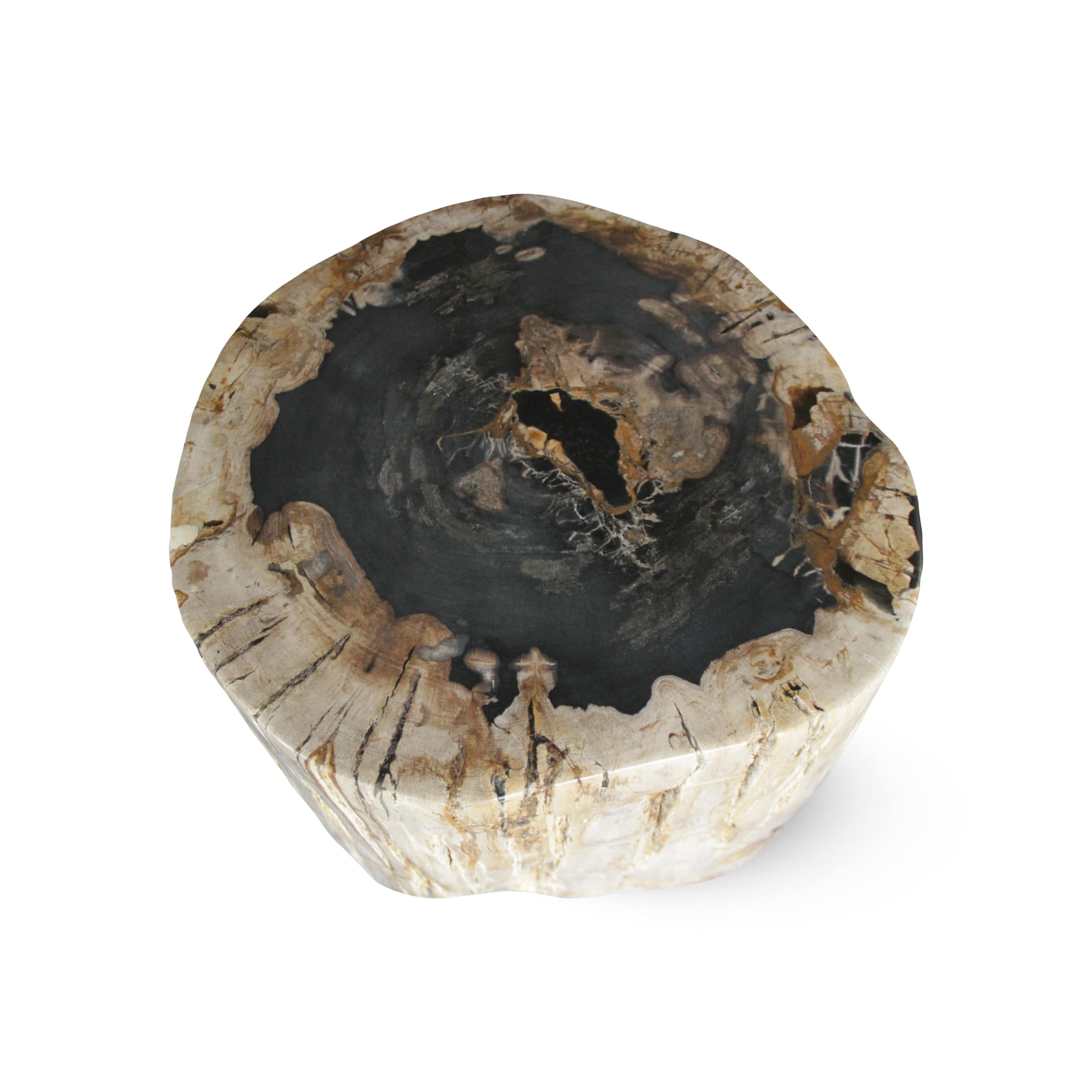 Kalifano Petrified Wood Petrified Wood Round Stump / Stool from Indonesia - 18" / 266 lbs PWS5000.003