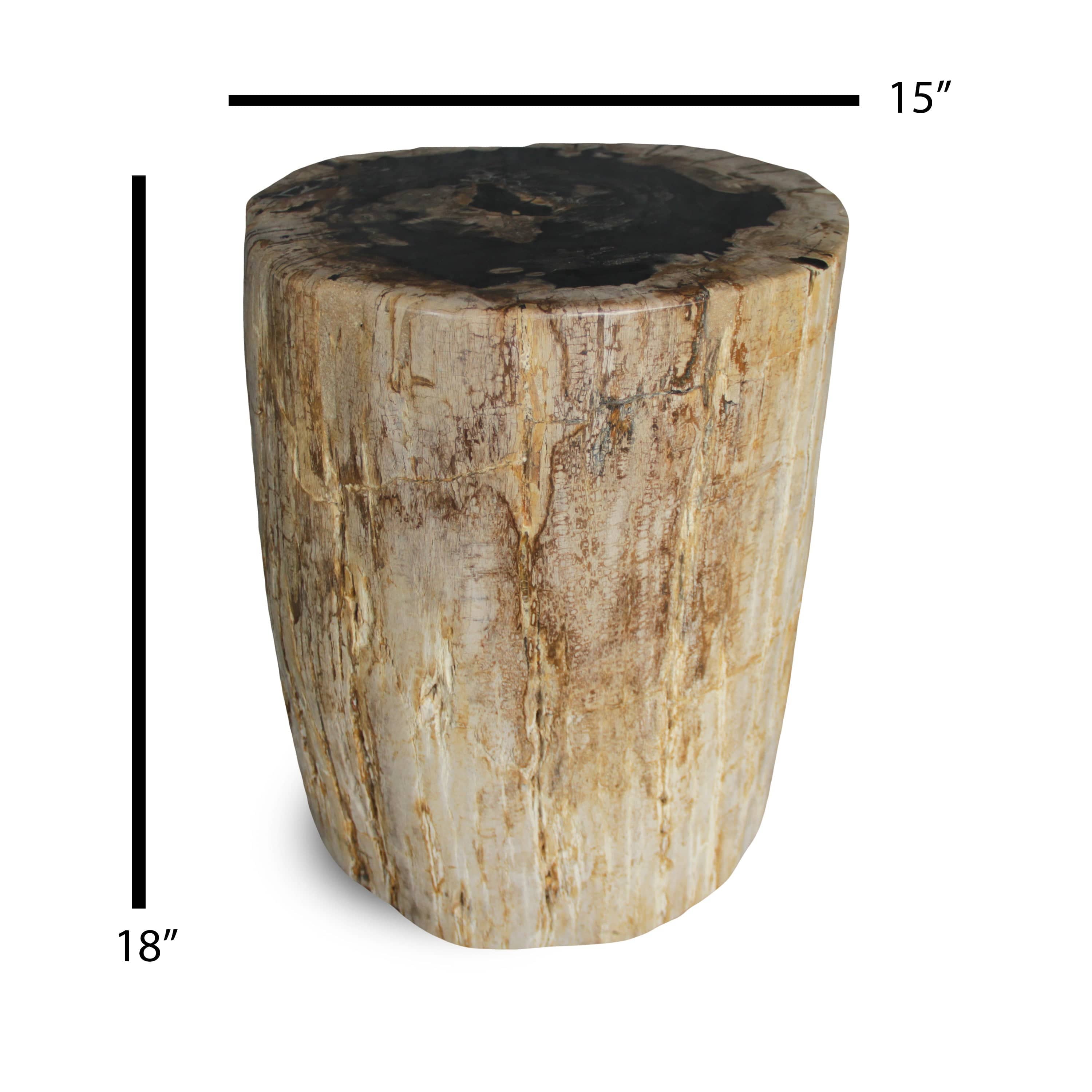 Kalifano Petrified Wood Petrified Wood Round Stump / Stool from Indonesia - 18" / 266 lbs PWS5000.003