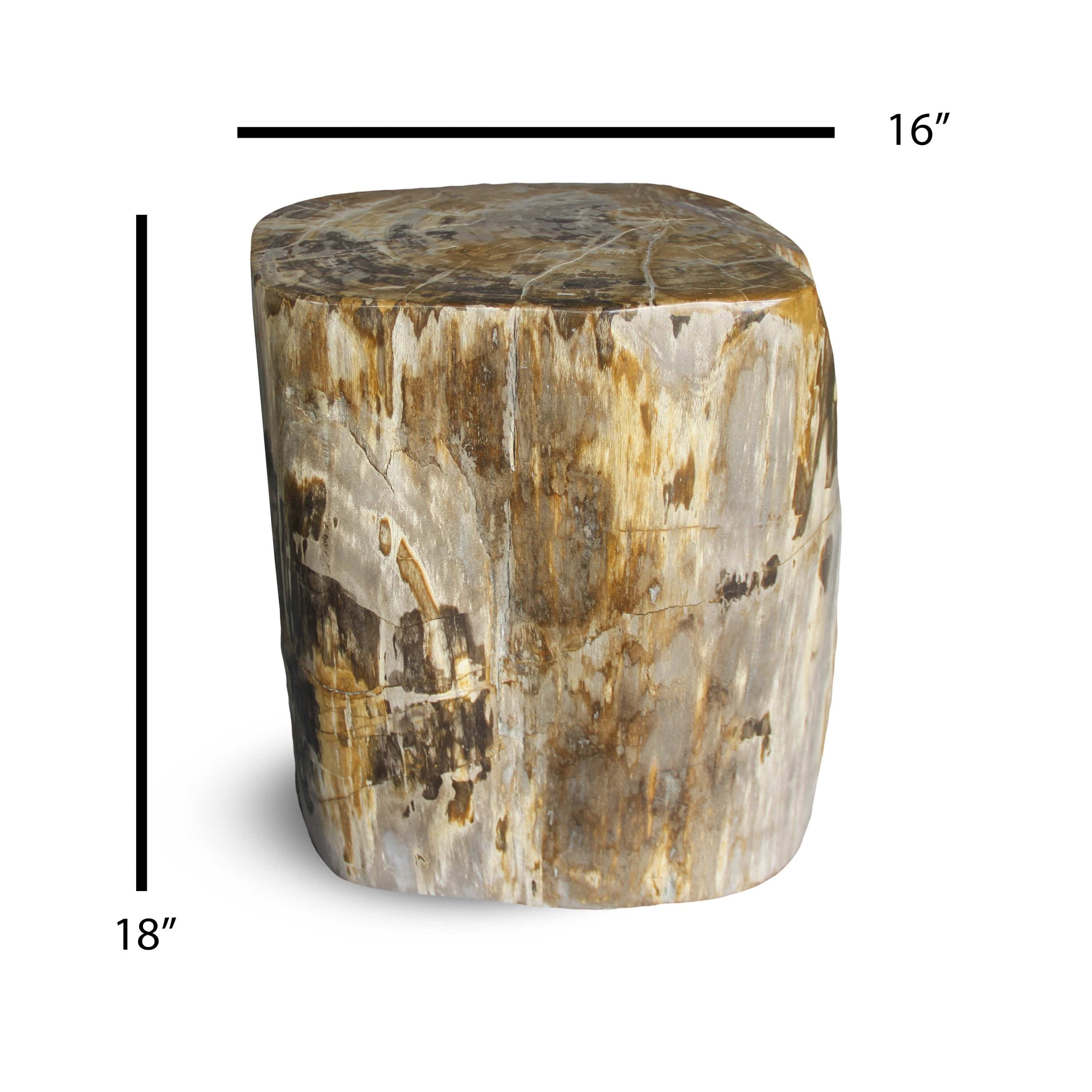 Kalifano Petrified Wood Petrified Wood Round Stump / Stool from Indonesia - 18" / 286 lbs PWS5200.004