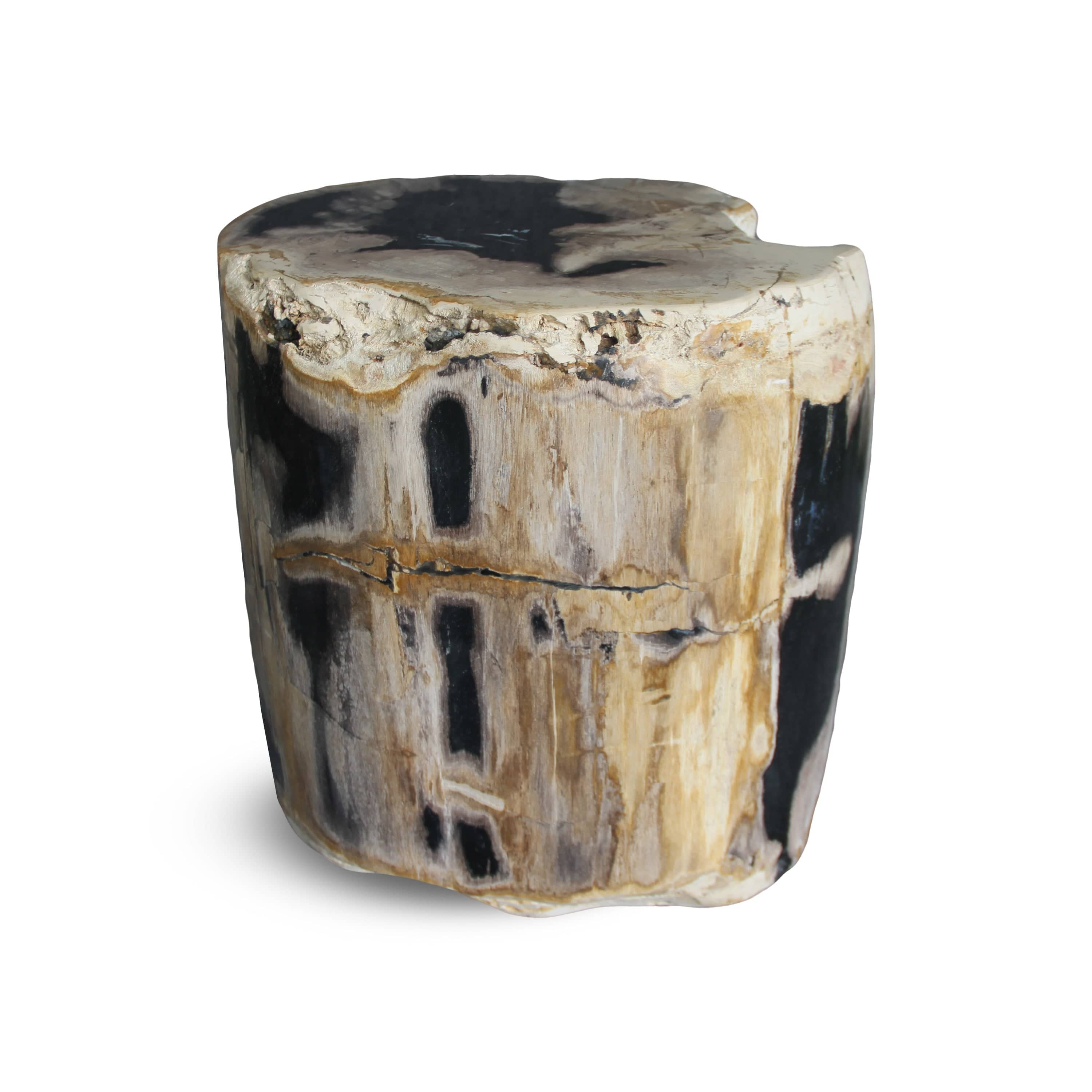 Kalifano Petrified Wood Petrified Wood Round Stump / Stool from Indonesia - 45" / 266 lbs PWS5000.007