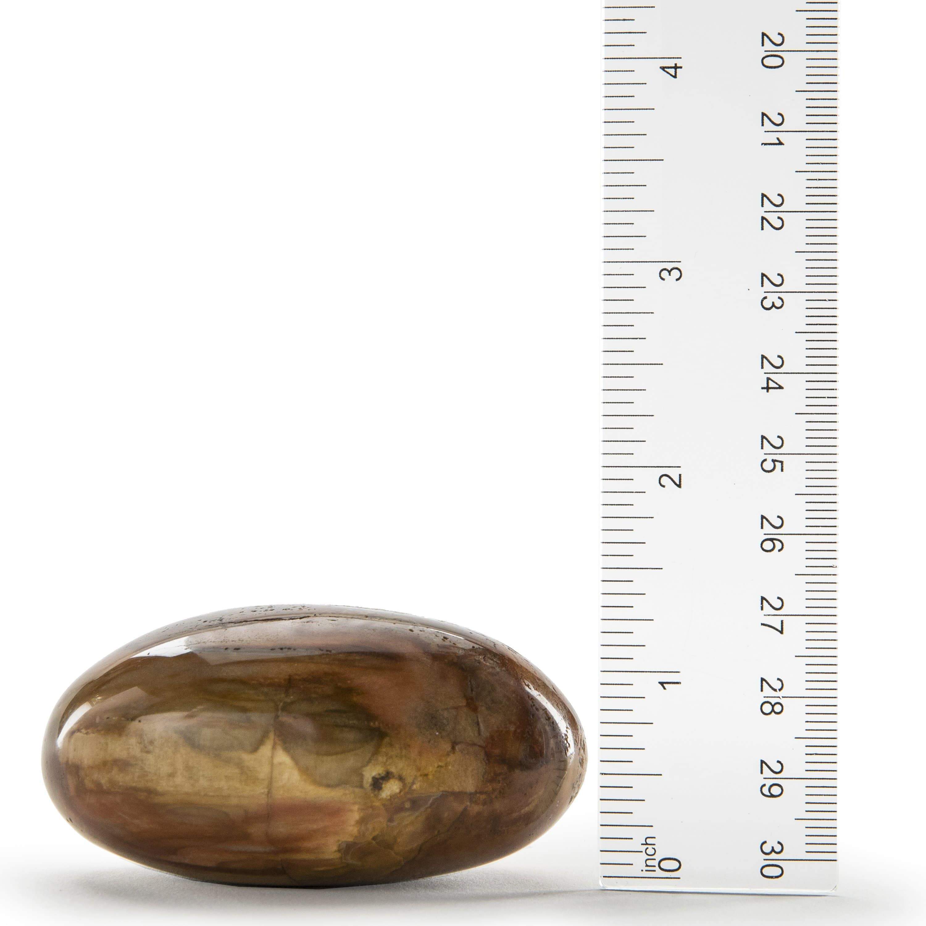 Kalifano Petrified Wood Petrified Wood Soap Healing Stone PW40