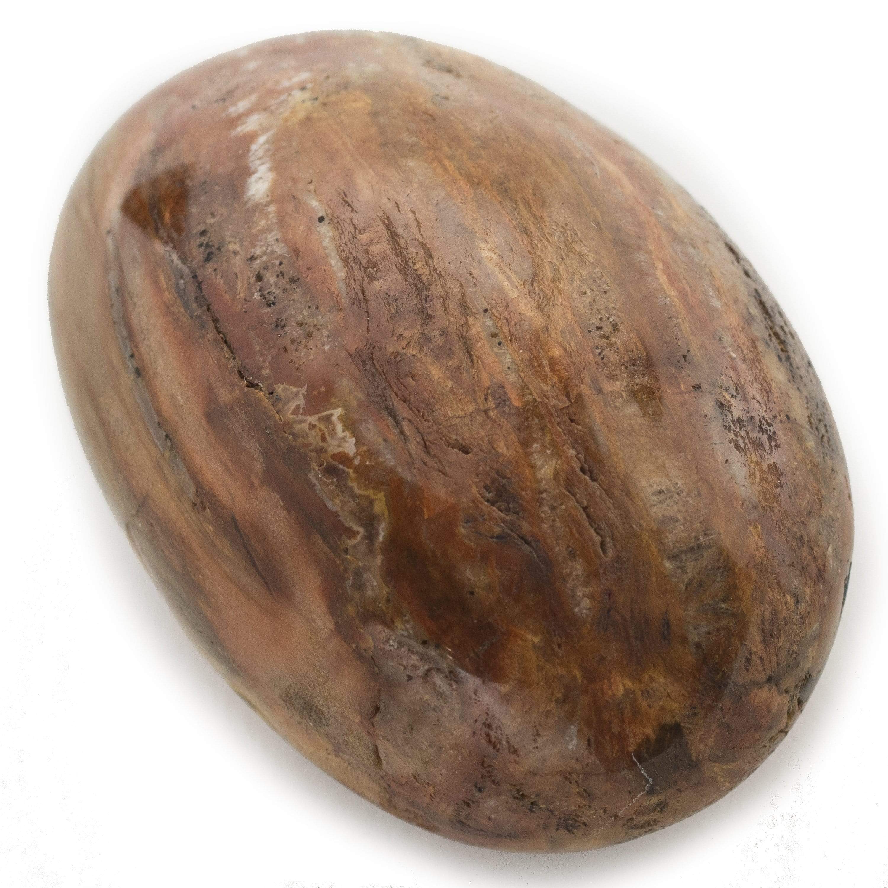 Kalifano Petrified Wood Petrified Wood Soap Healing Stone PW40