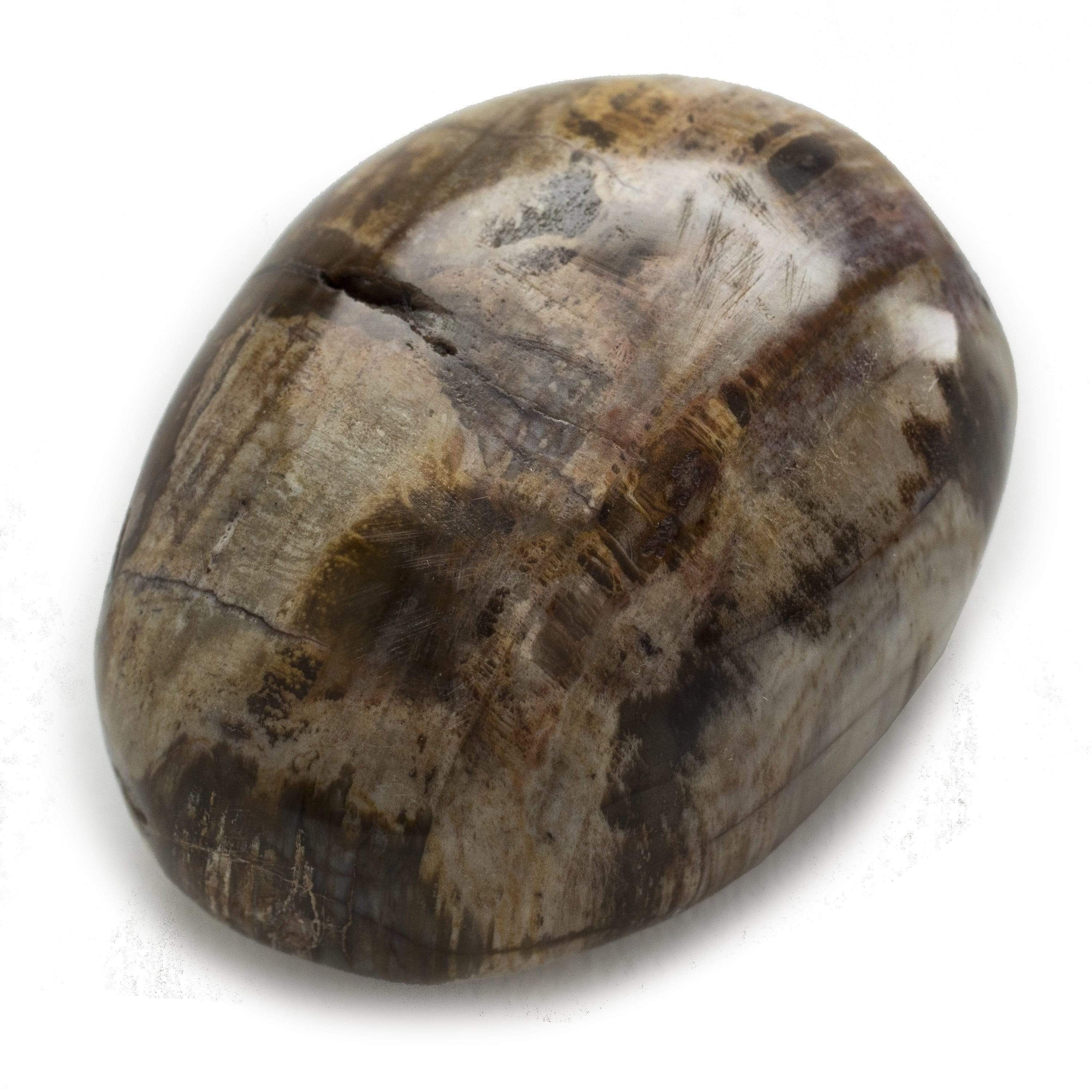 Kalifano Petrified Wood Petrified Wood Soap Healing Stone PW40
