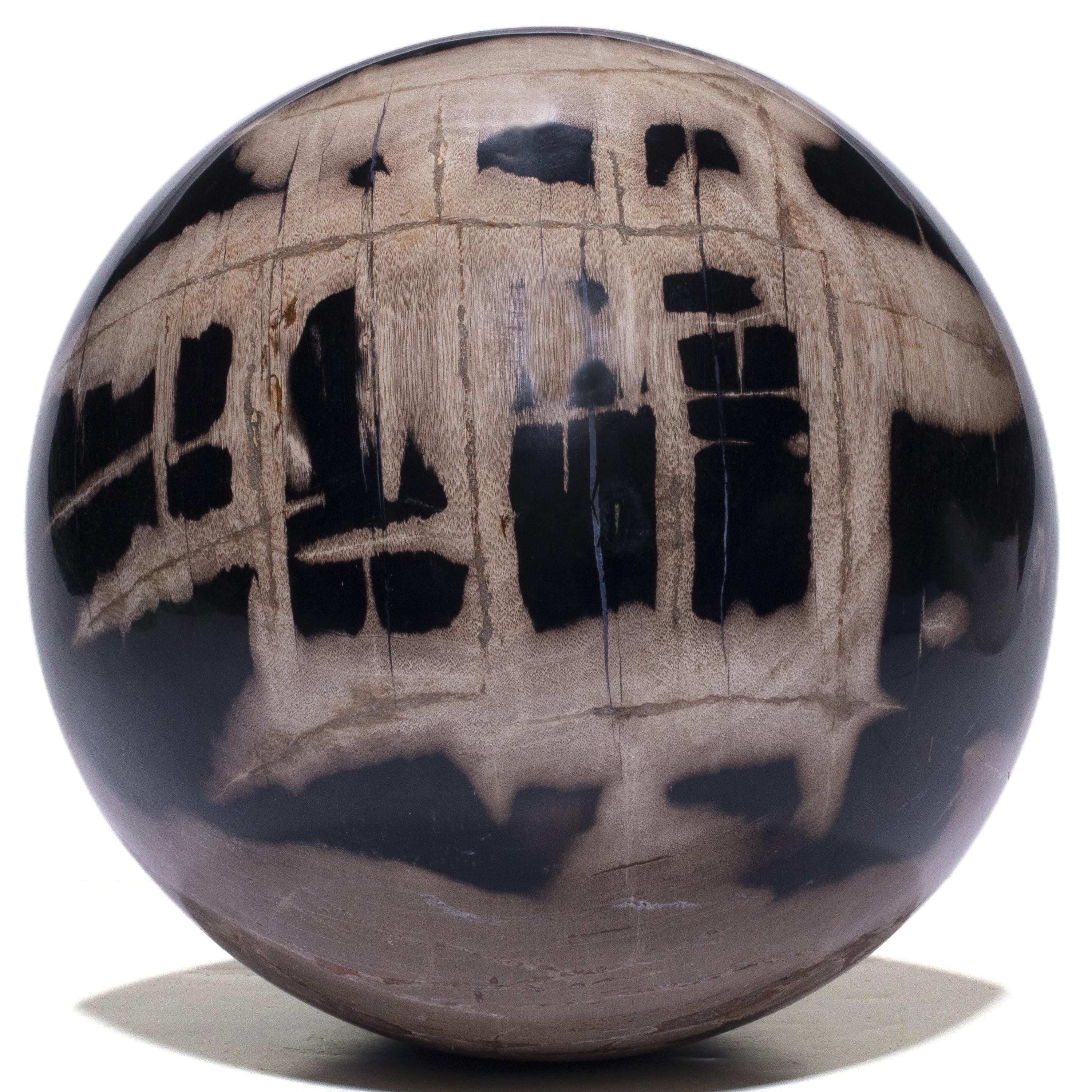 Kalifano Petrified Wood Polished Petrified Wood Sphere from Indonesia - 10" / 46 lbs PWSP-10