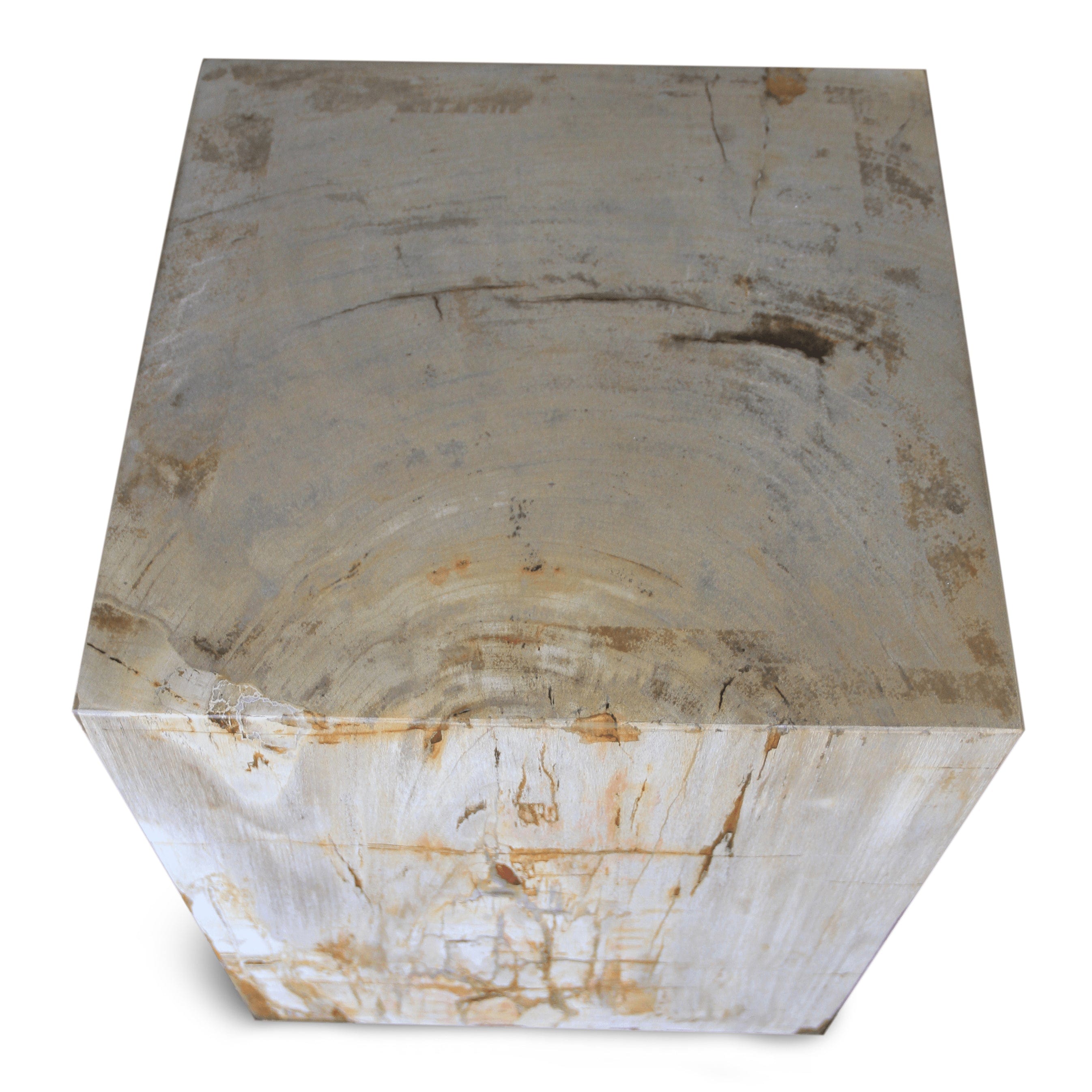 Kalifano Petrified Wood Polished Petrified Wood Square Stump from Indonesia - 18" / 309 lbs PWSS8400.001