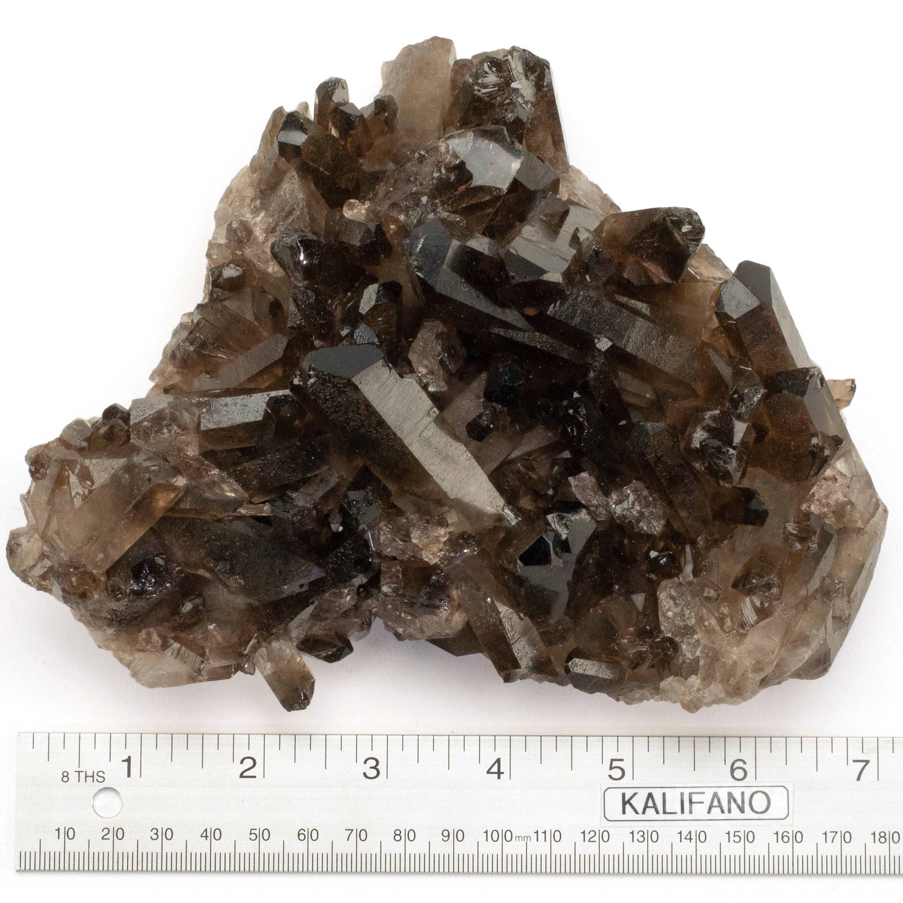 Kalifano Smoky Quartz Smoky Quartz Cluster from Brazil - 3" / 1,200 grams SQ1100.002