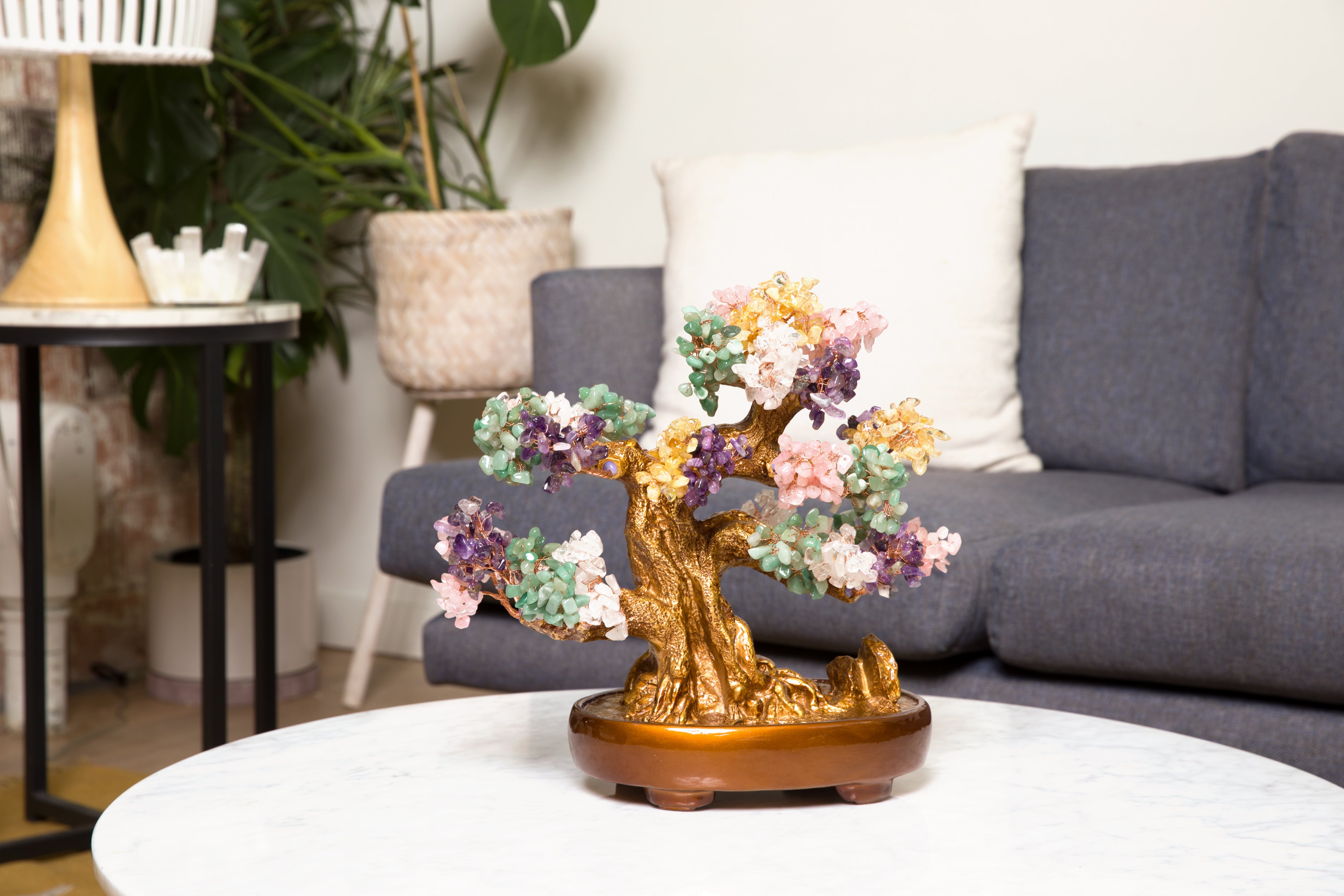 Bonsai Trees: The Perfect Gift